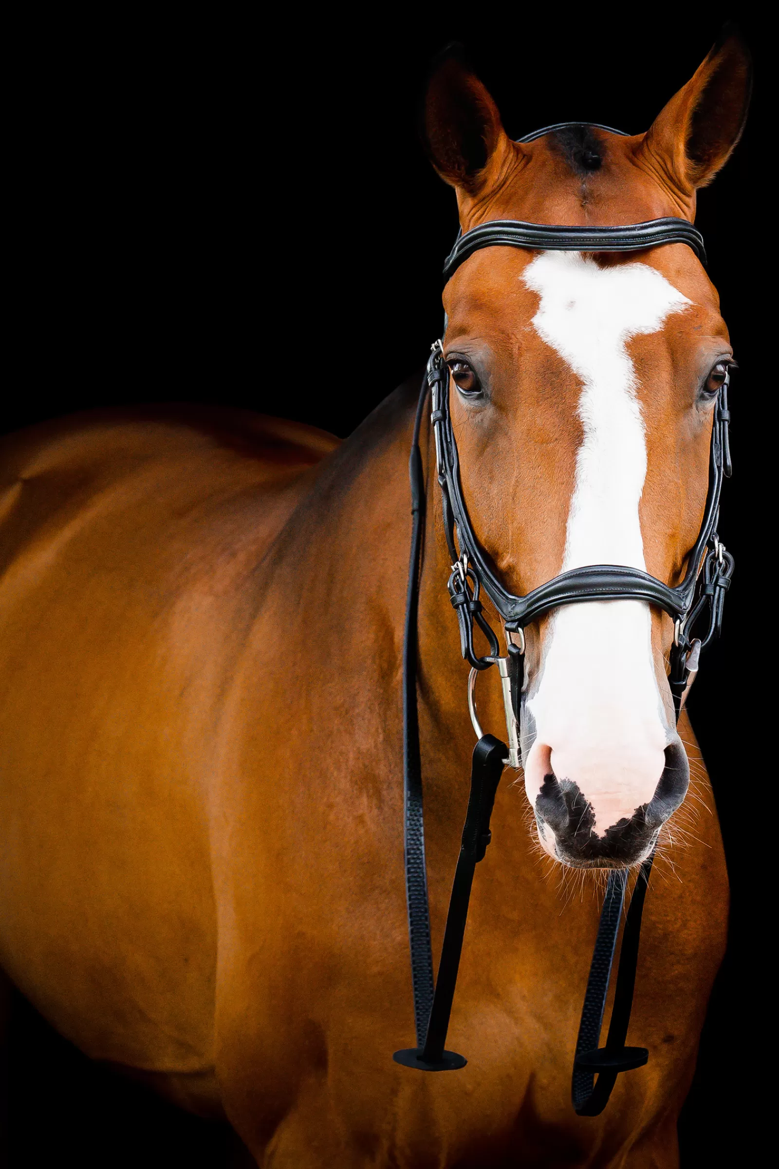 horseware Briglie E Chiudibocca | Rambo Micklem 2 Deluxe Briglia Da Concorso Black