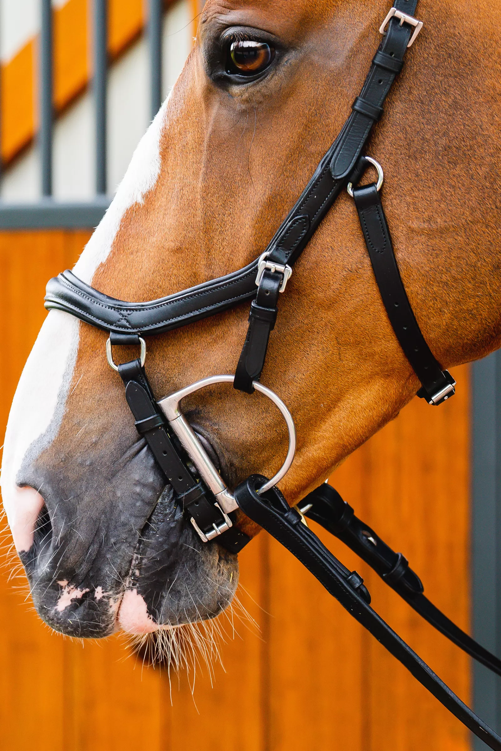 horseware Briglie E Chiudibocca | Rambo Micklem 2 Deluxe Briglia Da Concorso Black