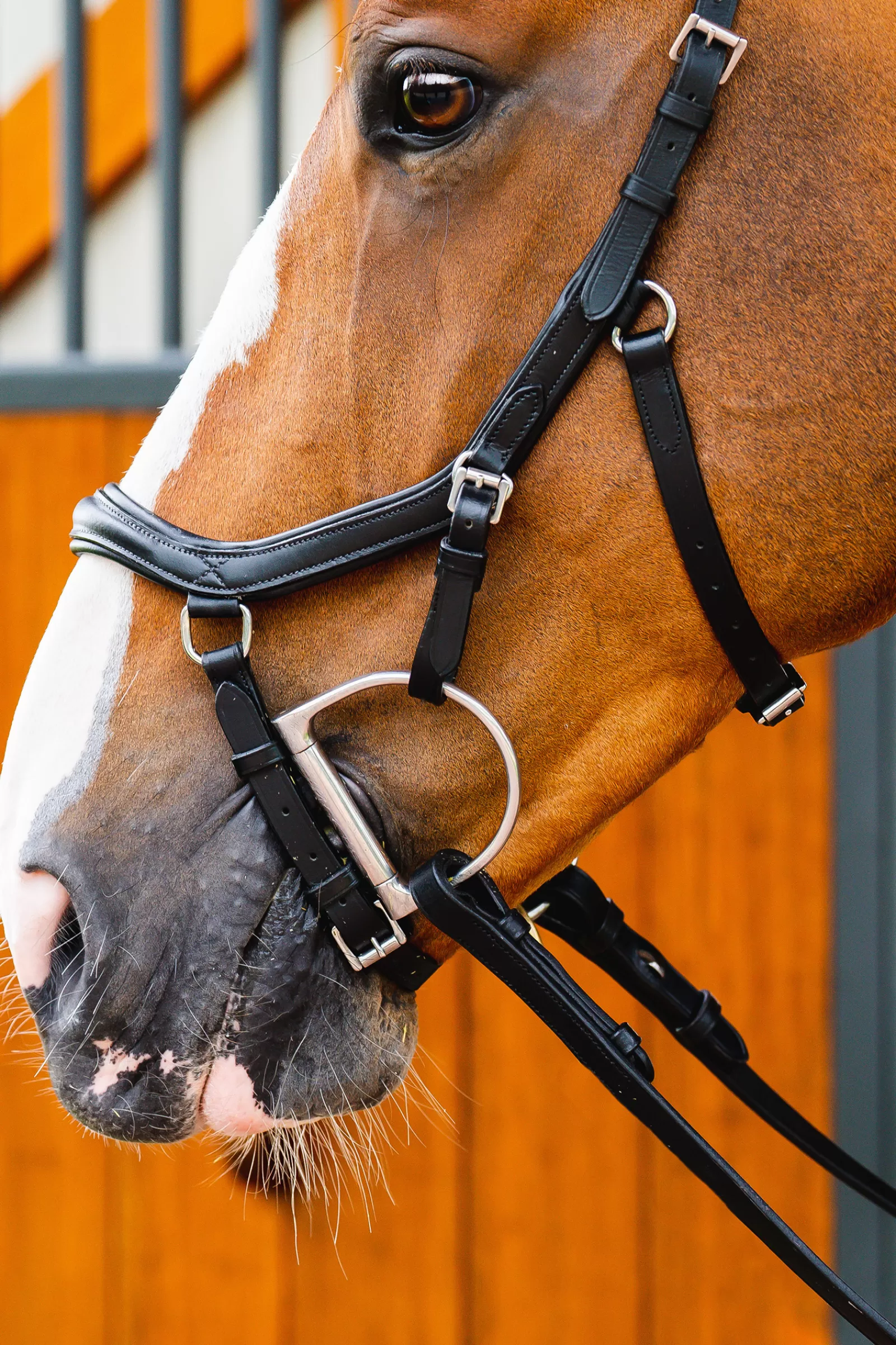 horseware Briglie E Chiudibocca | Rambo Micklem 2 Diamante Briglia Da Concorso Black