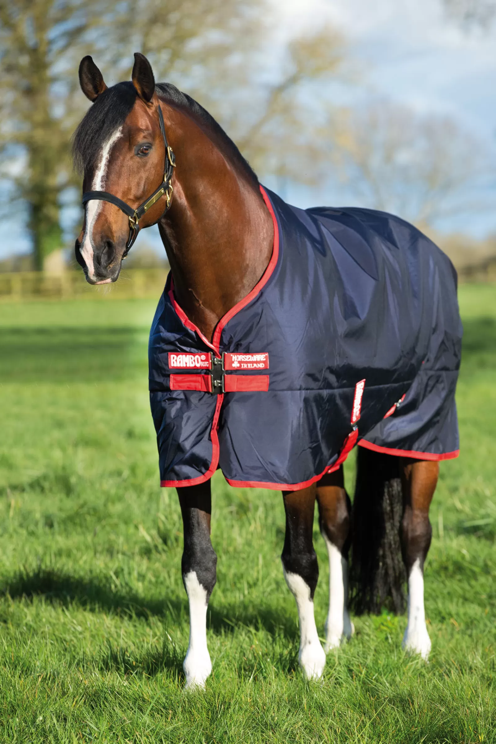 Rambo Original Turnout, 200G>horseware Outlet