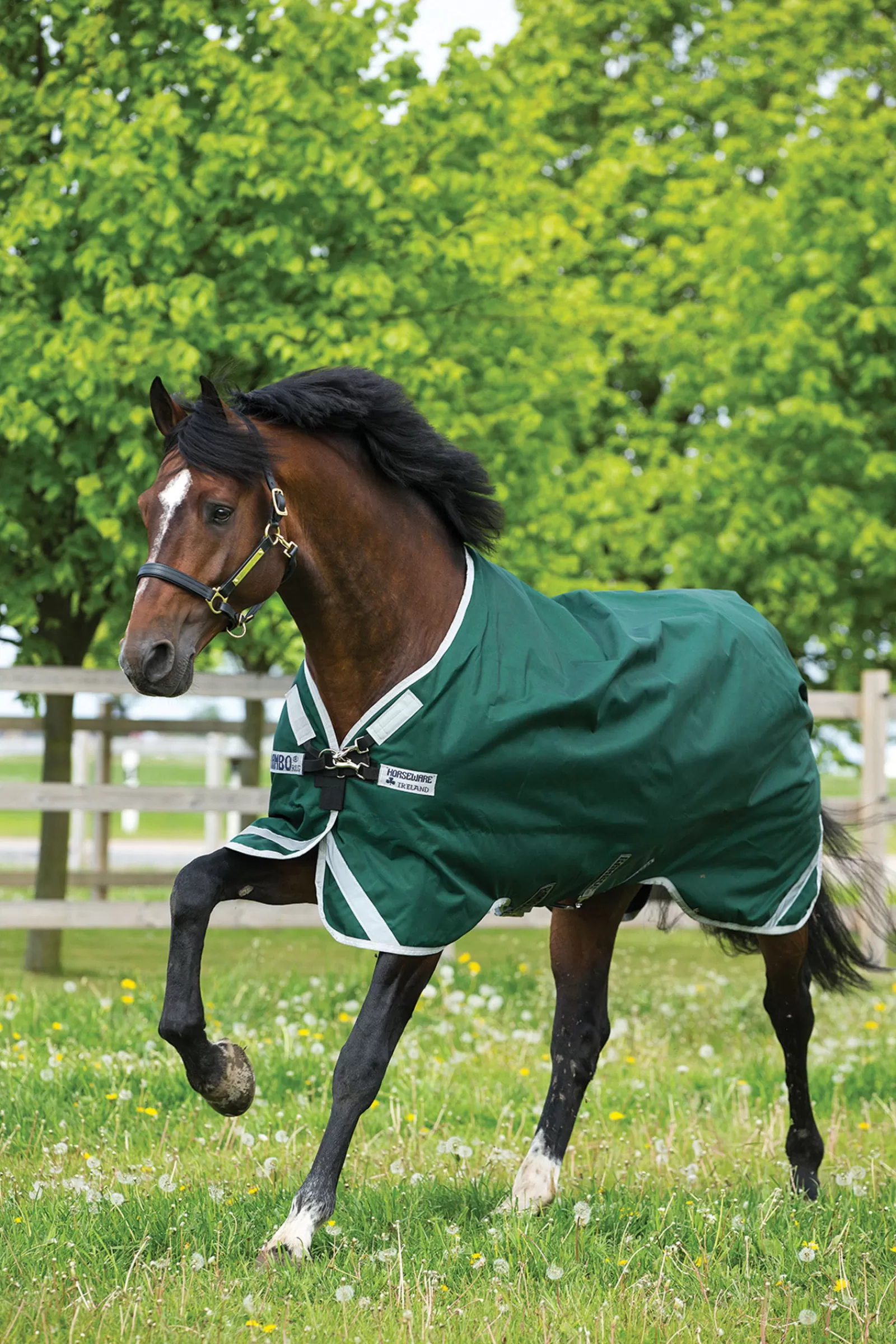 Rambo Original Turnout Con Archi Delle Gambe, 0 G>horseware Best