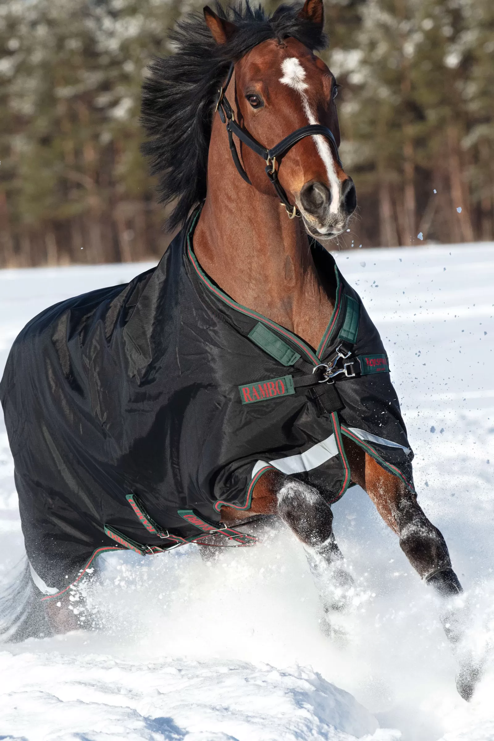 Rambo Original Turnout Con Archi Delle Gambe, 200 G>horseware Clearance