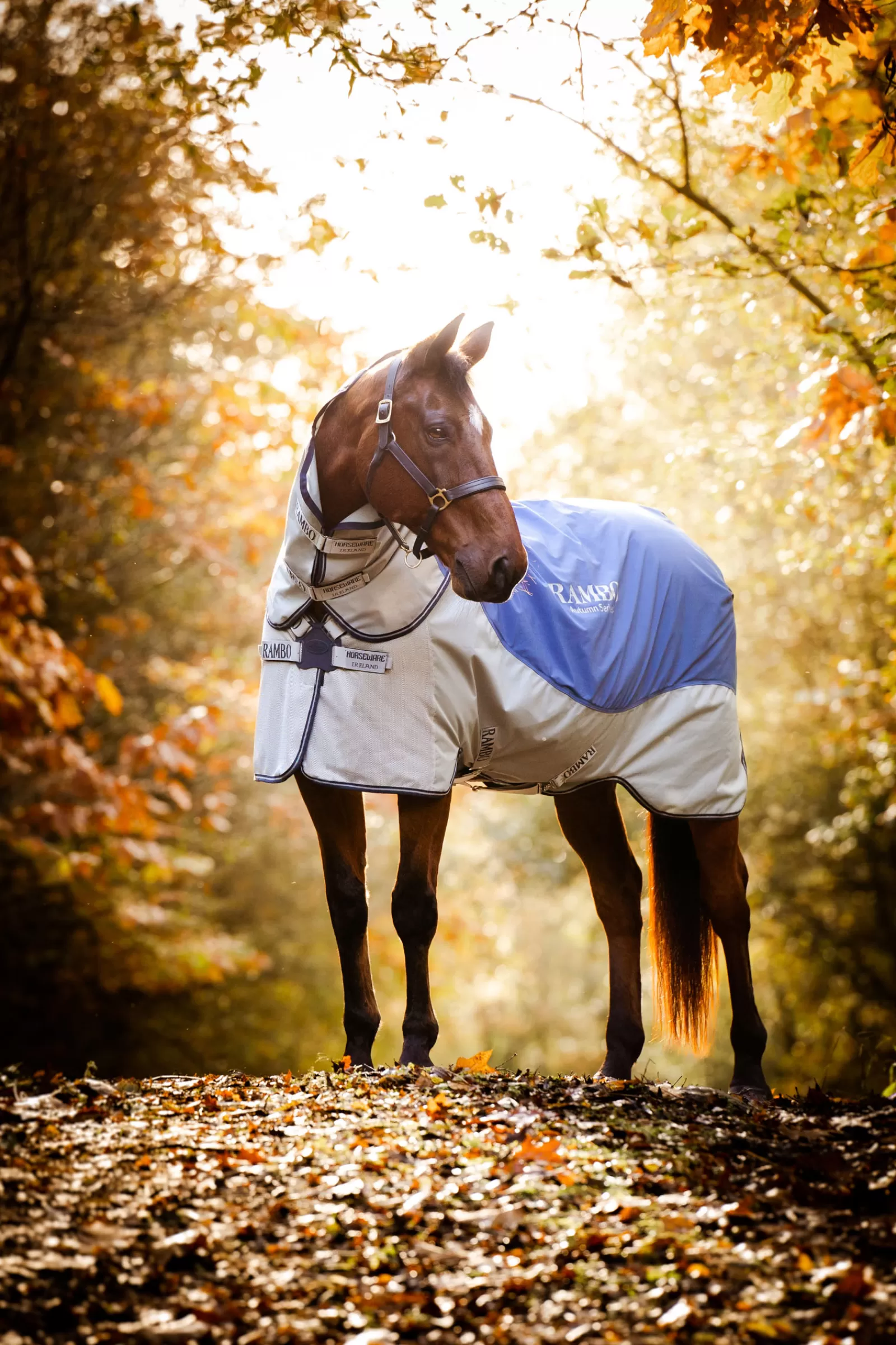 Rambo Serie Autunnale>horseware Sale