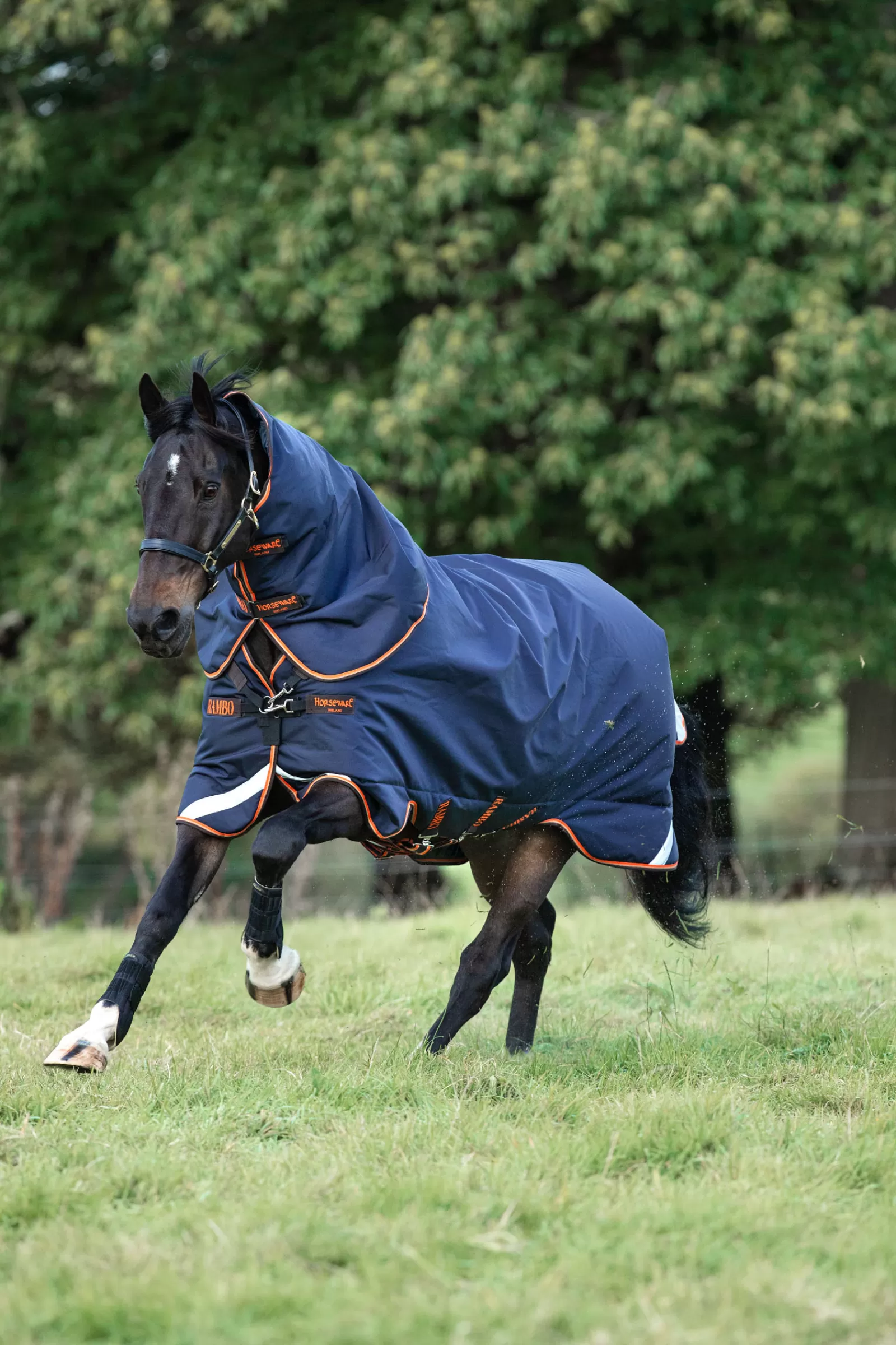 Rambo Supreme Turnout Lite Incl. Cappuccio Staccabile, 50 G>horseware Hot