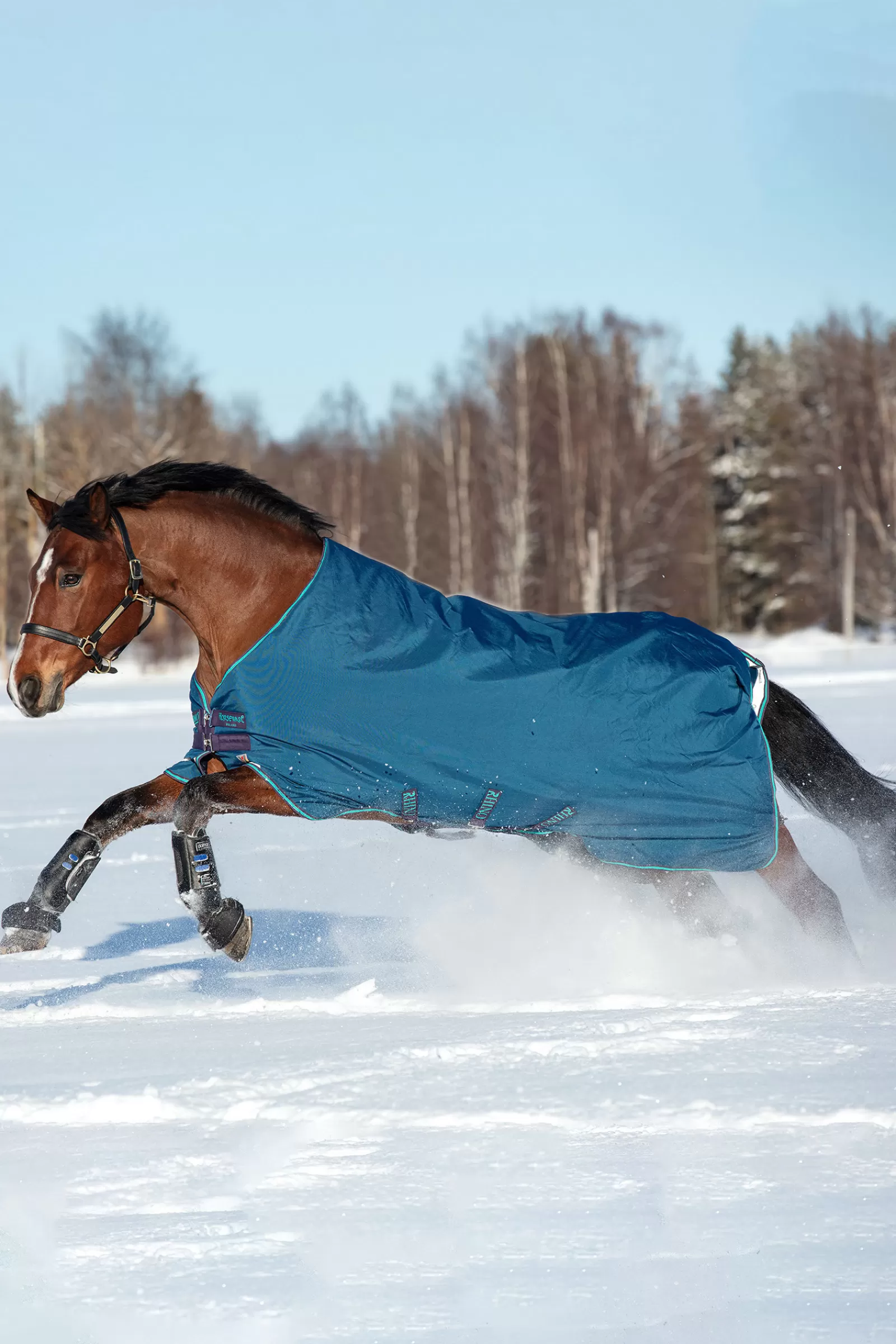 Rhino - Tappeto Turnout Originale A Vari Strati, 250 G>horseware Outlet