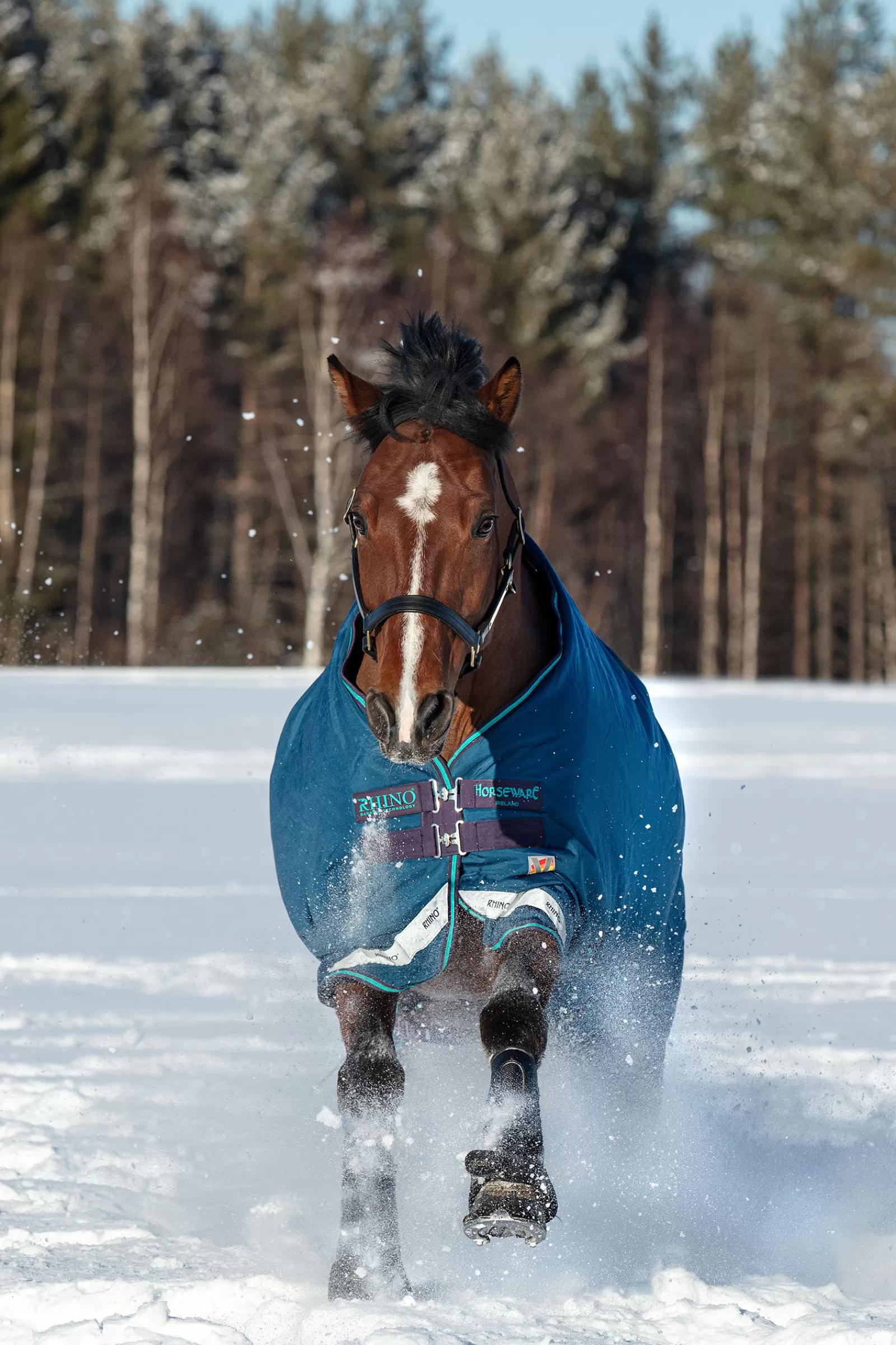 Rhino - Tappeto Turnout Originale A Vari Strati, 250 G>horseware Outlet