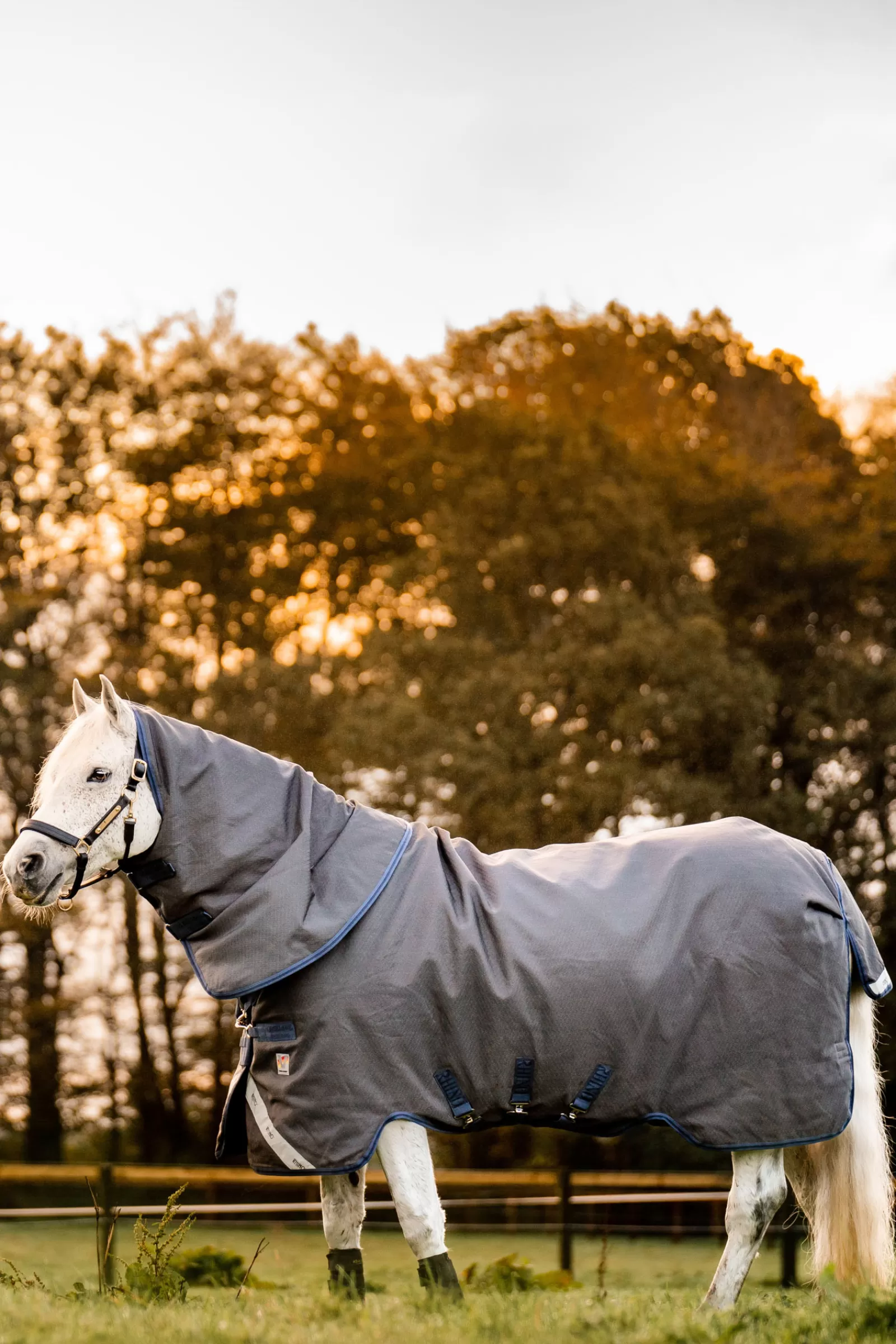Rhino Hexstop Plus Vari-Layer Coperta Da Turnout, 250 Gr>horseware Best