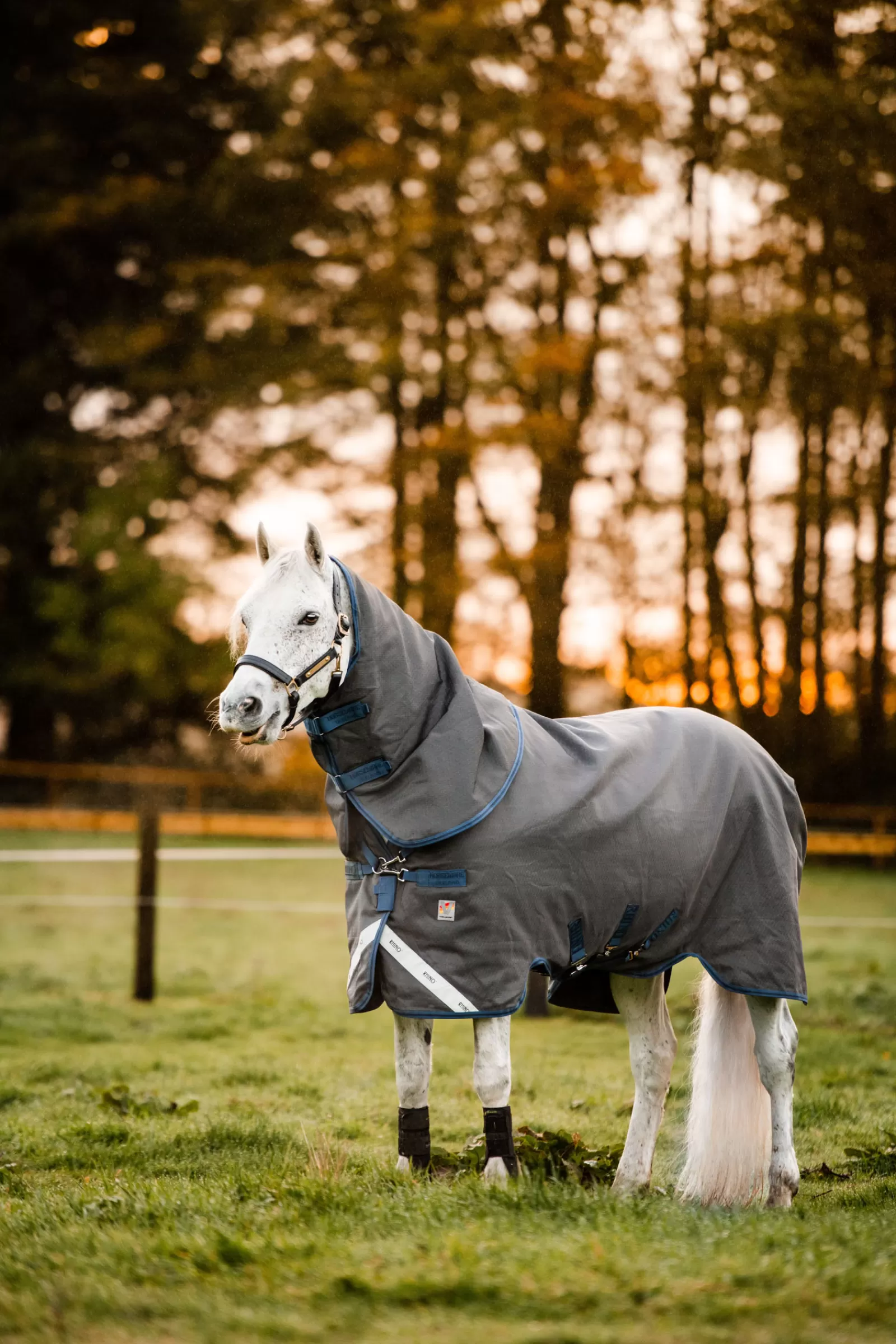 Rhino Hexstop Plus Vari-Layer Coperta Da Turnout, 250 Gr>horseware Best