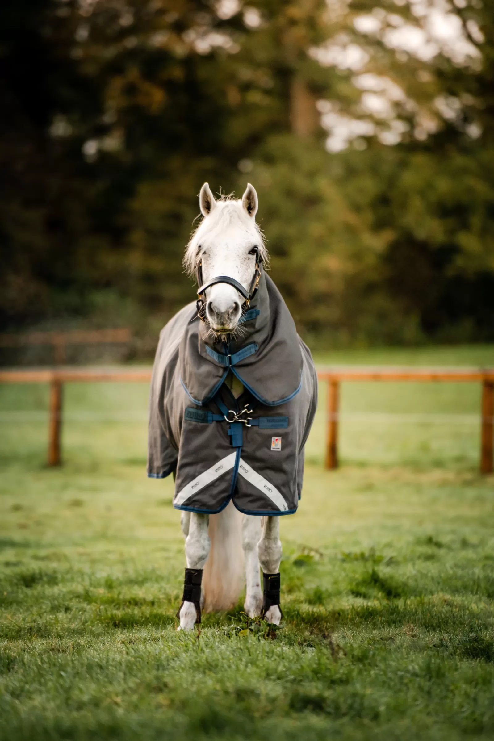Rhino Hexstop Plus Vari-Layer Coperta Da Turnout, 250 Gr>horseware Best