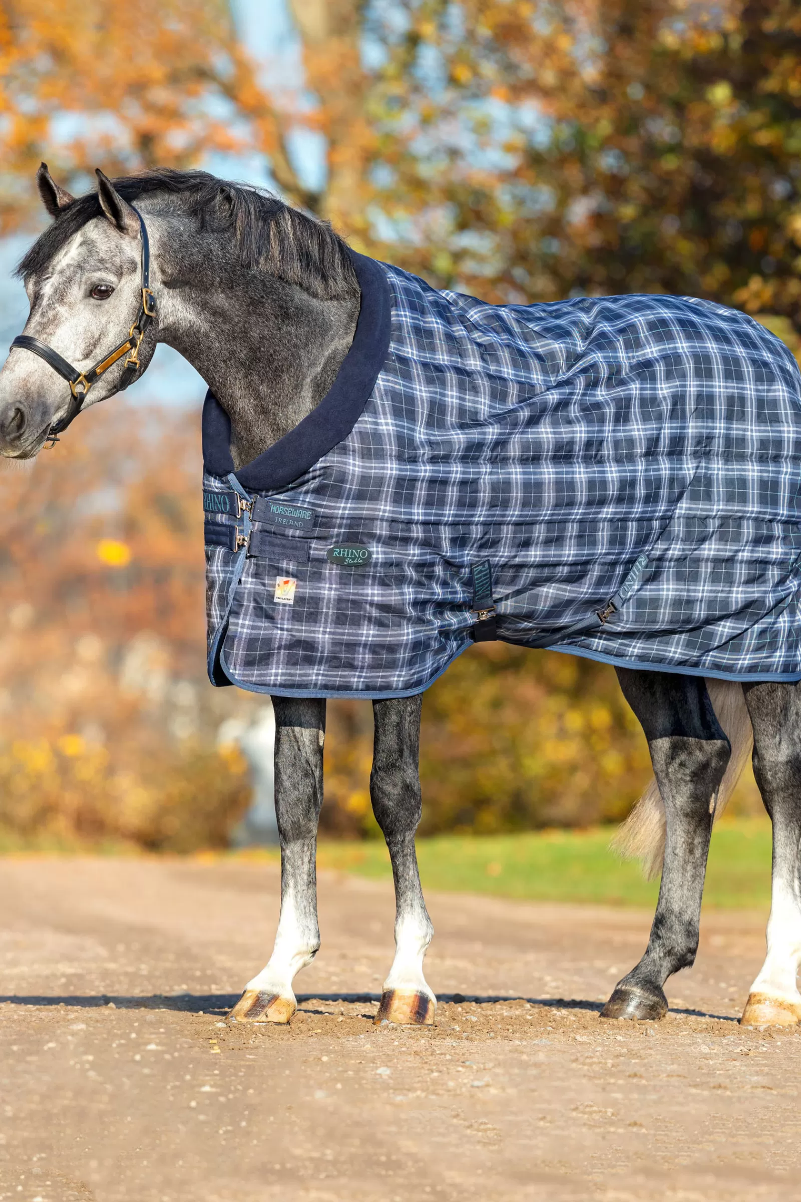 Rhino Original Coperta Da Stalla Vari-Layer, 250 Gr>horseware Cheap