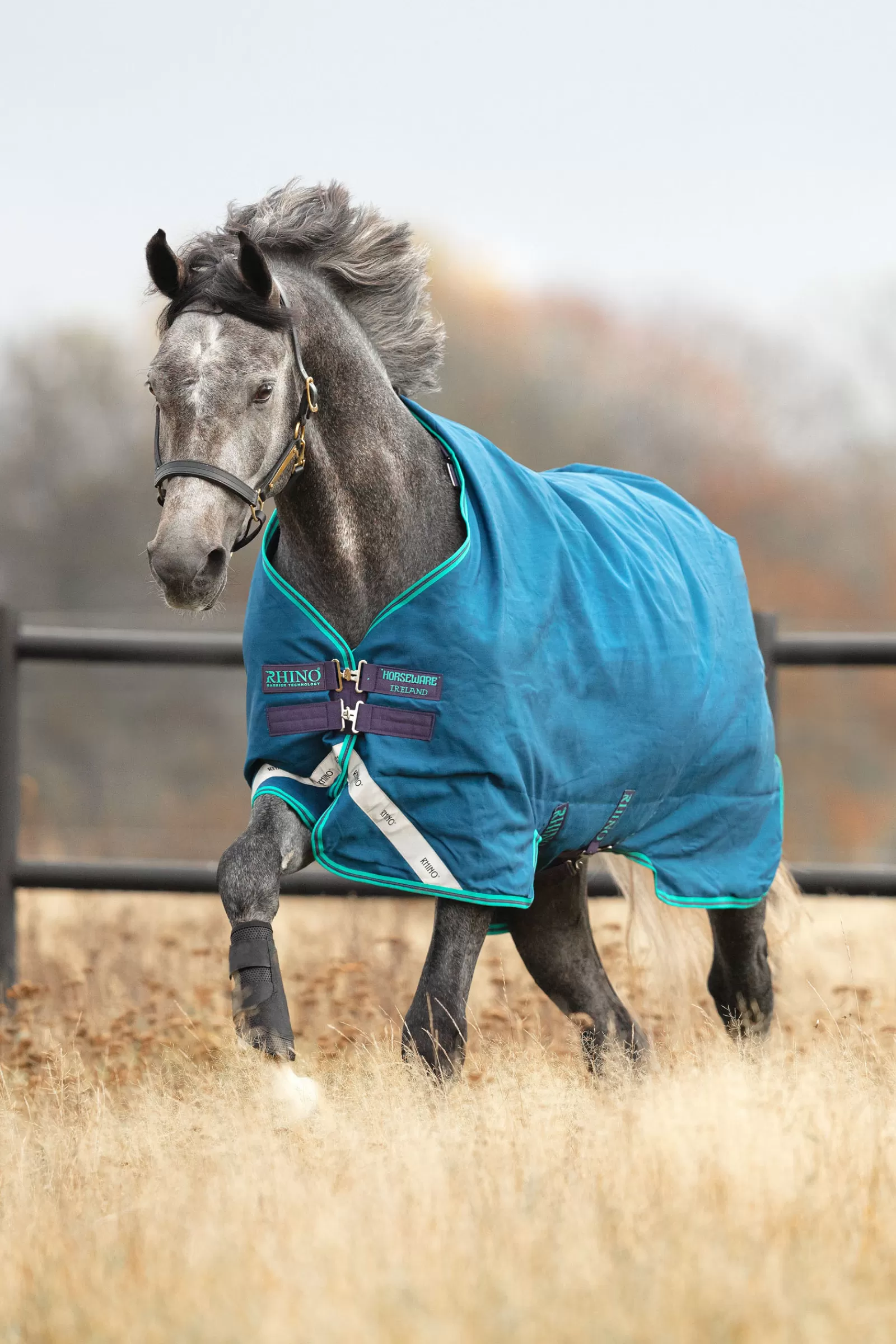Rhino Original Coperta Da Turnout, 0 Gr>horseware Sale