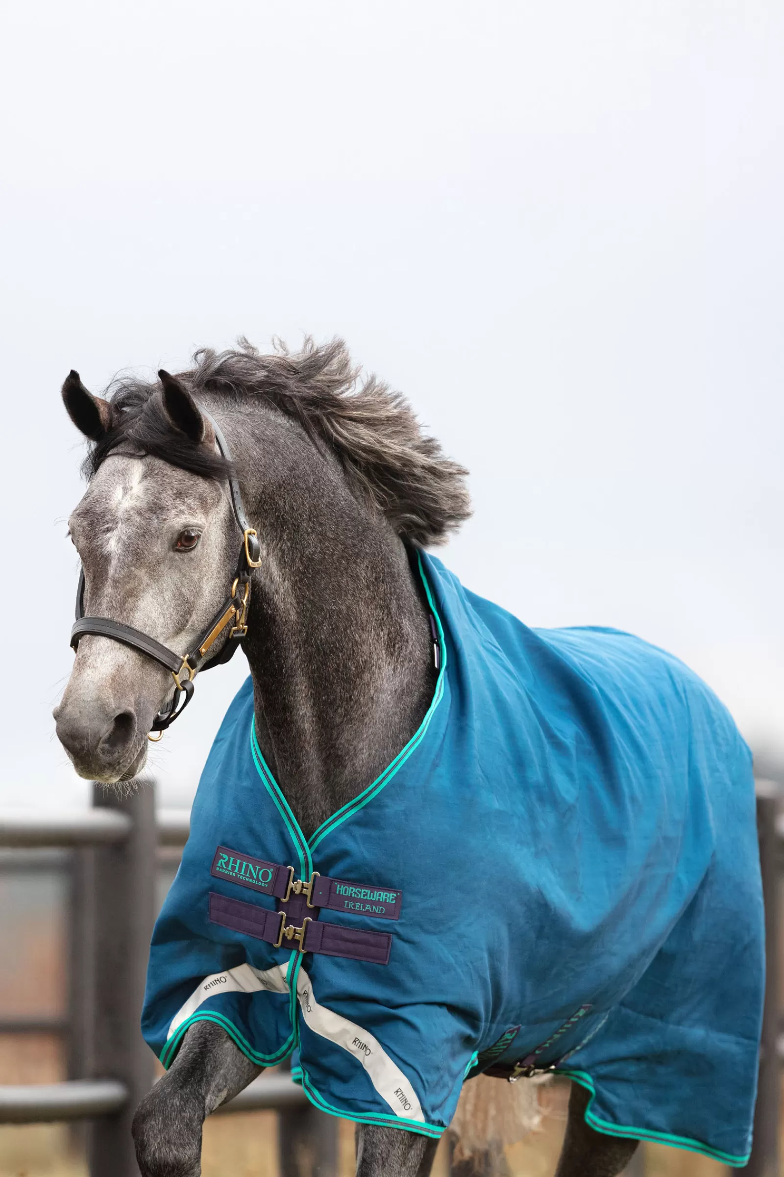 Rhino Original Coperta Da Turnout, 0 Gr>horseware Sale