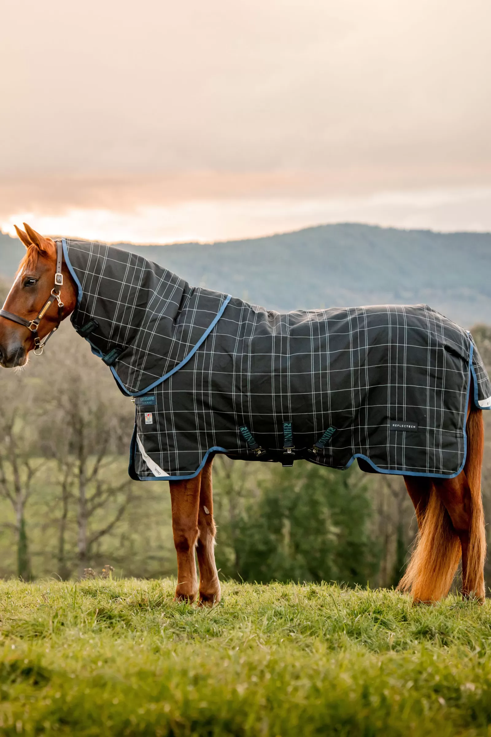 Rhino Reflectech Plus Coperta Da Tunrout A Strati Vari Incl. Cappuccio Rimovibile, 250 Gr>horseware New