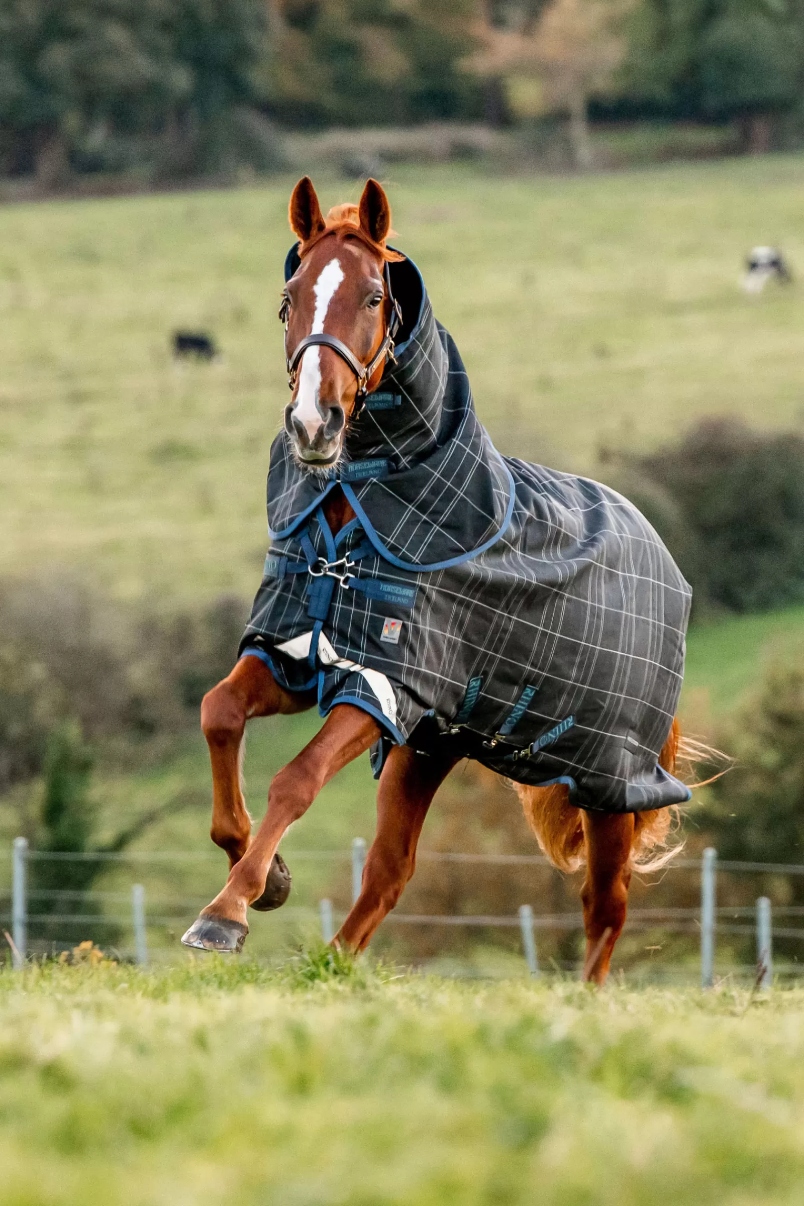 Rhino Reflectech Plus Coperta Da Tunrout A Strati Vari Incl. Cappuccio Rimovibile, 250 Gr>horseware New