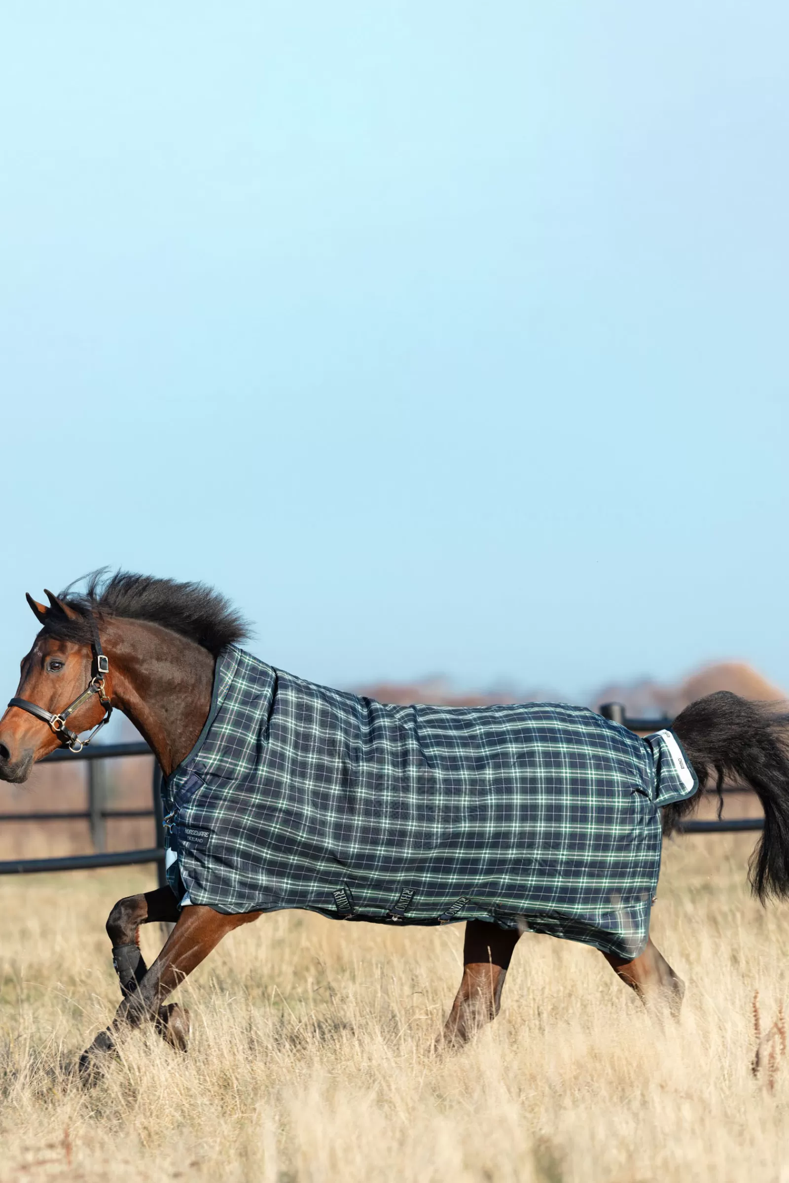 Rhino Wug Coperta Da Turnout Con Collo Alto, 100 Gr>horseware Best Sale