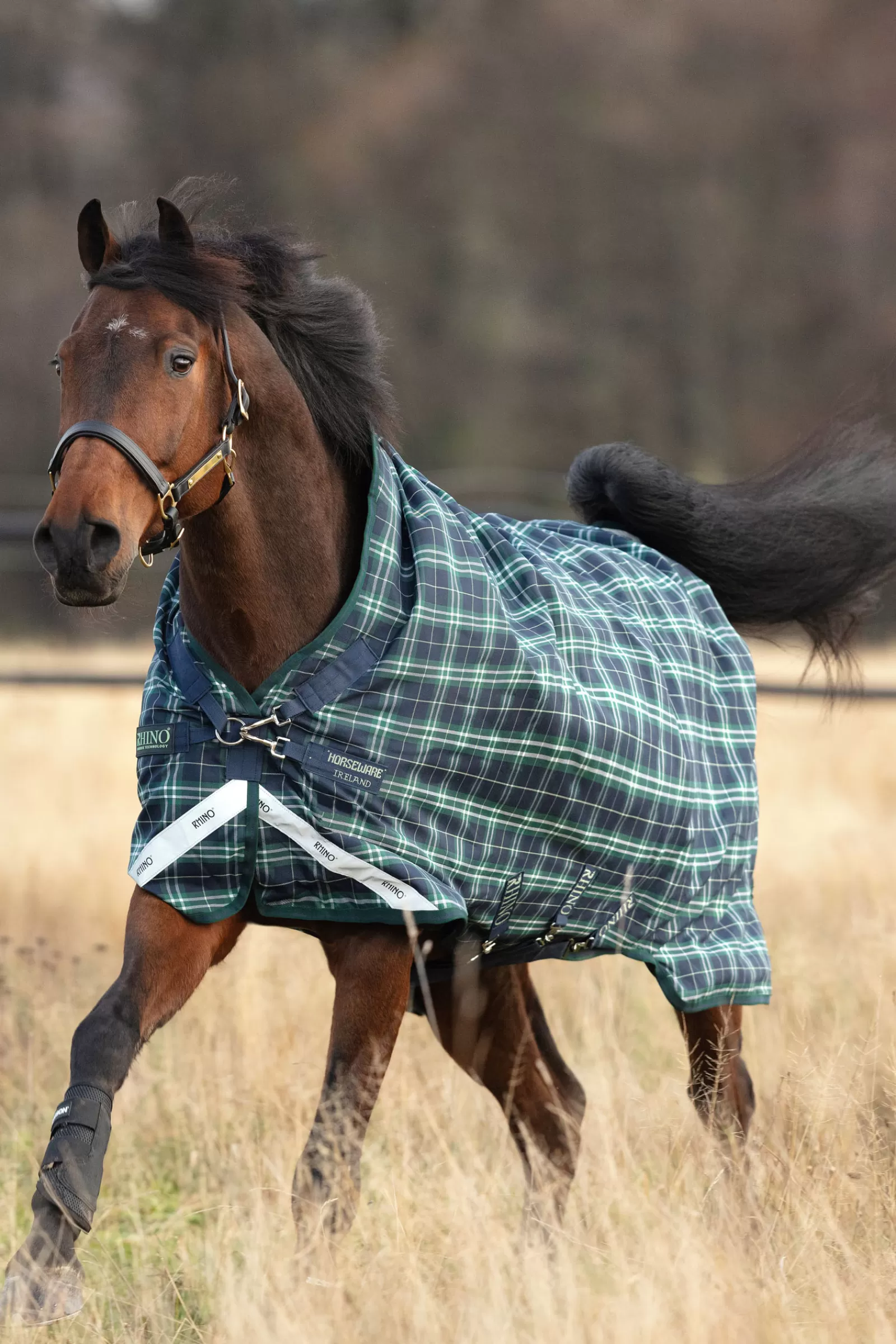 Rhino Wug Coperta Da Turnout Con Collo Alto, 100 Gr>horseware Best Sale