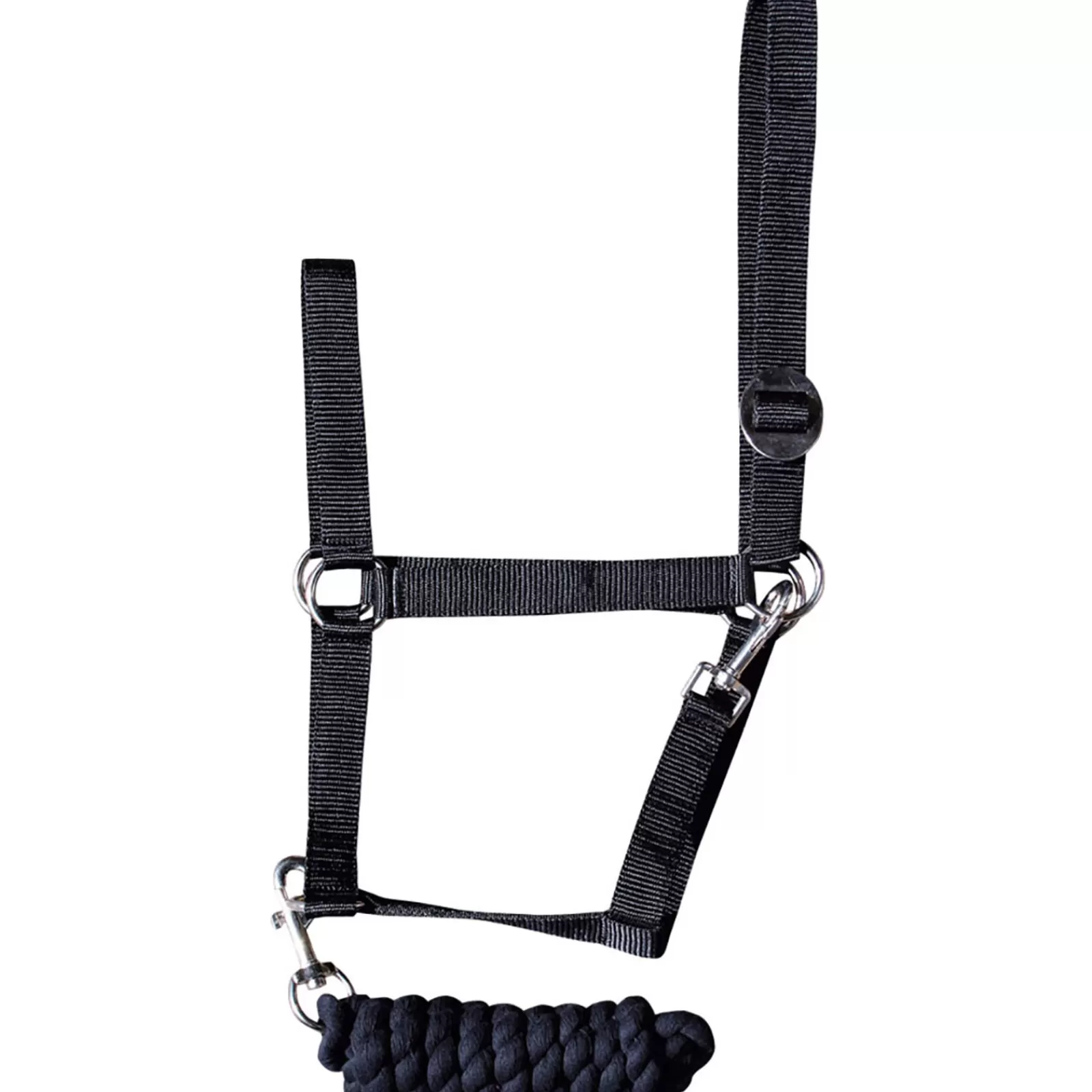 Iniziale Di Harry'S Horse Headcollar>harryshorse Shop