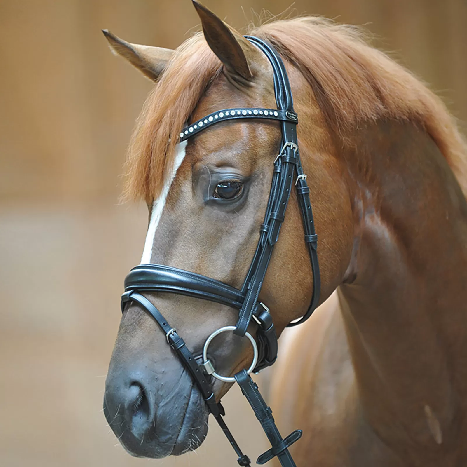 kavalkade Briglie E Chiudibocca | Bridle Mia, Capezzina A Manovella Con Flash Black