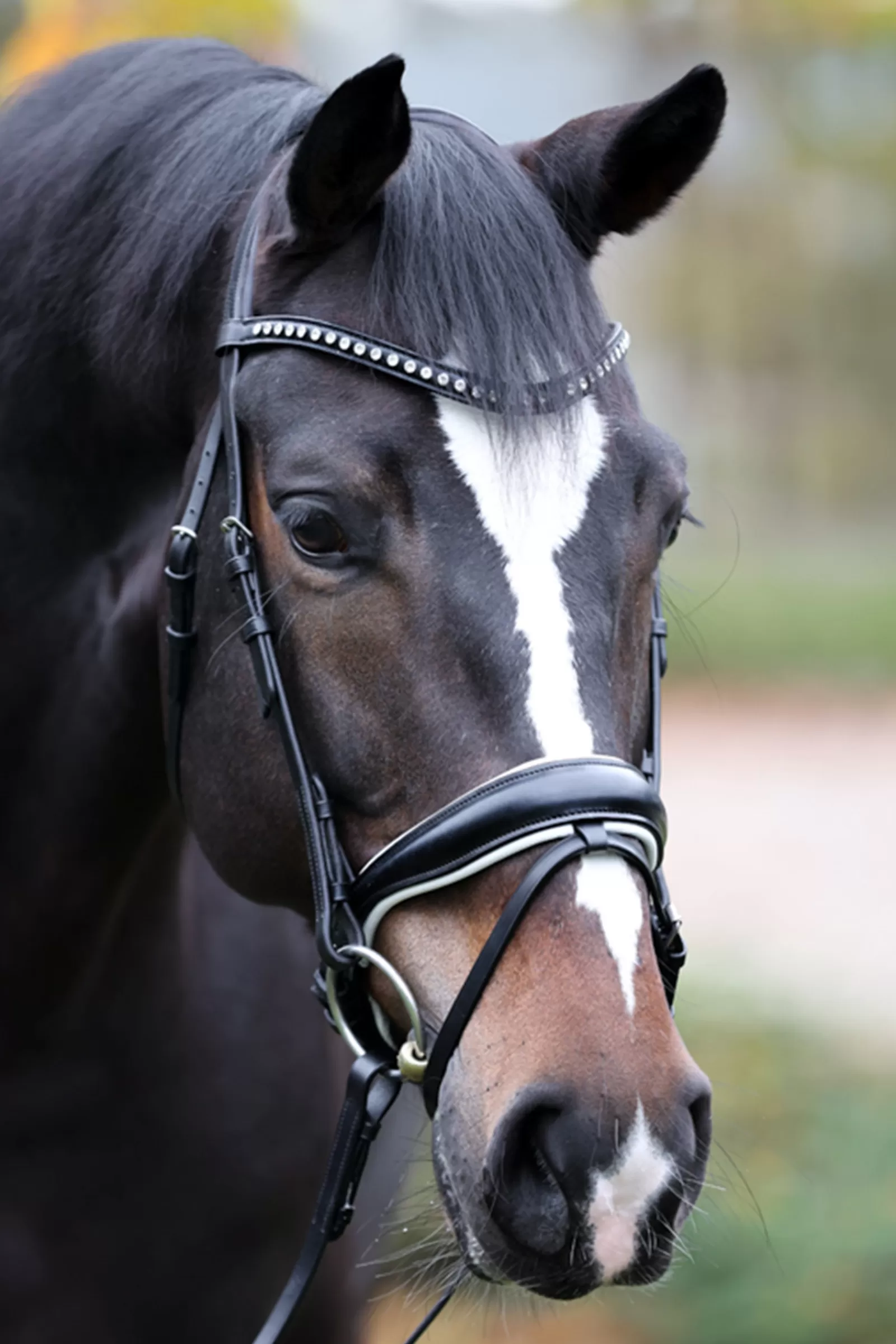 kavalkade Briglie E Chiudibocca | Charlotte Briglia Da Dressage Con Fascia Nasale A Manovella Black/White