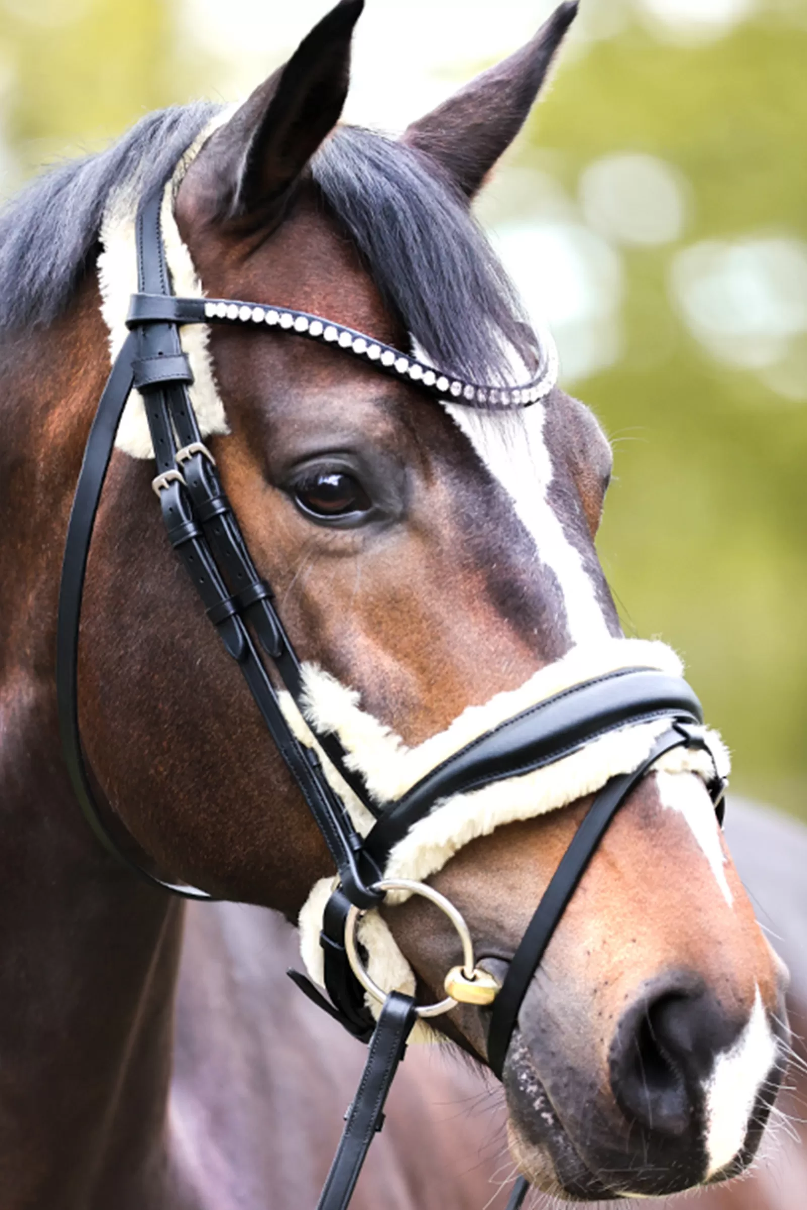 kavalkade Briglie E Chiudibocca | Joyce Kavalsh4 Bridle Black