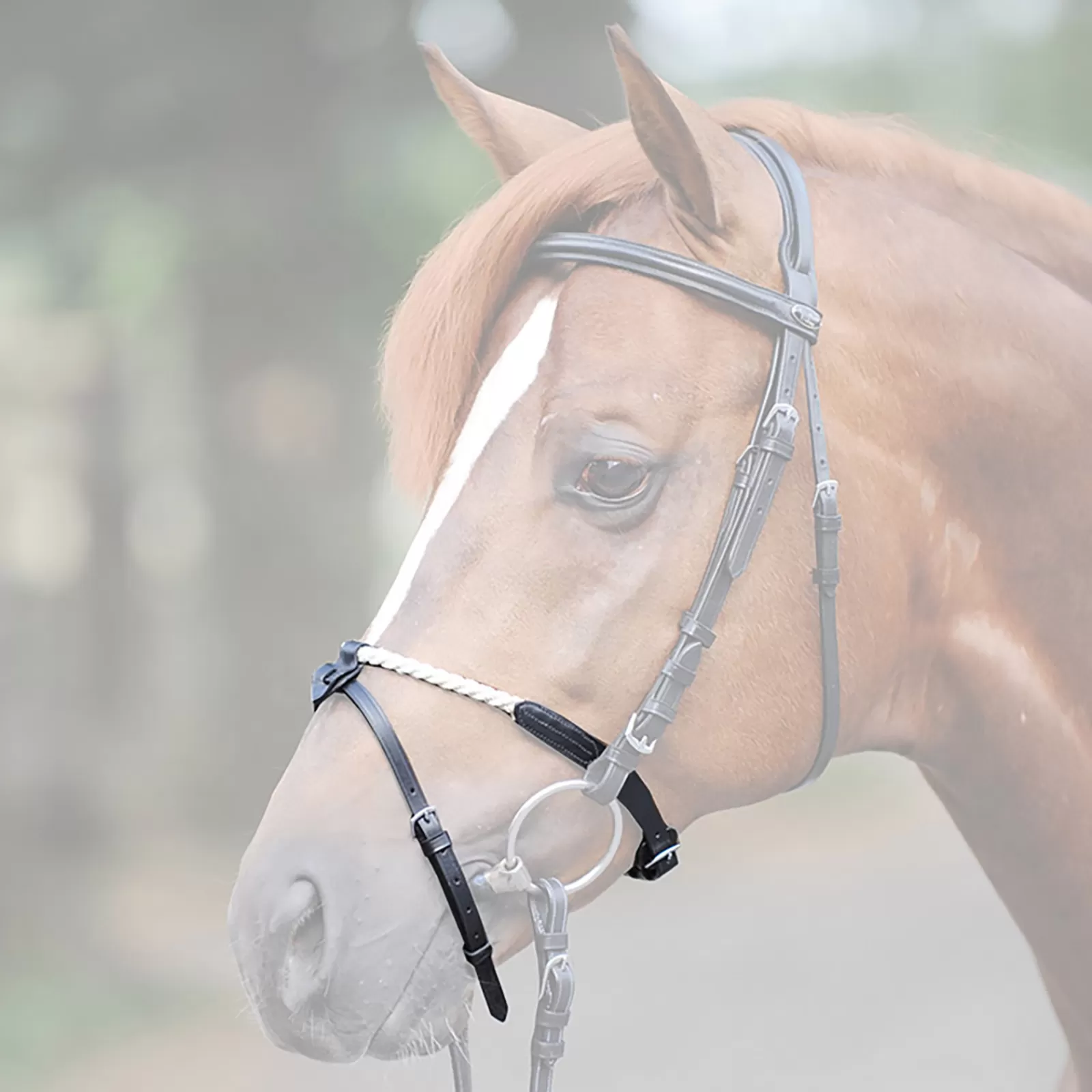 kavalkade Briglie E Chiudibocca | Rope Noseband Black