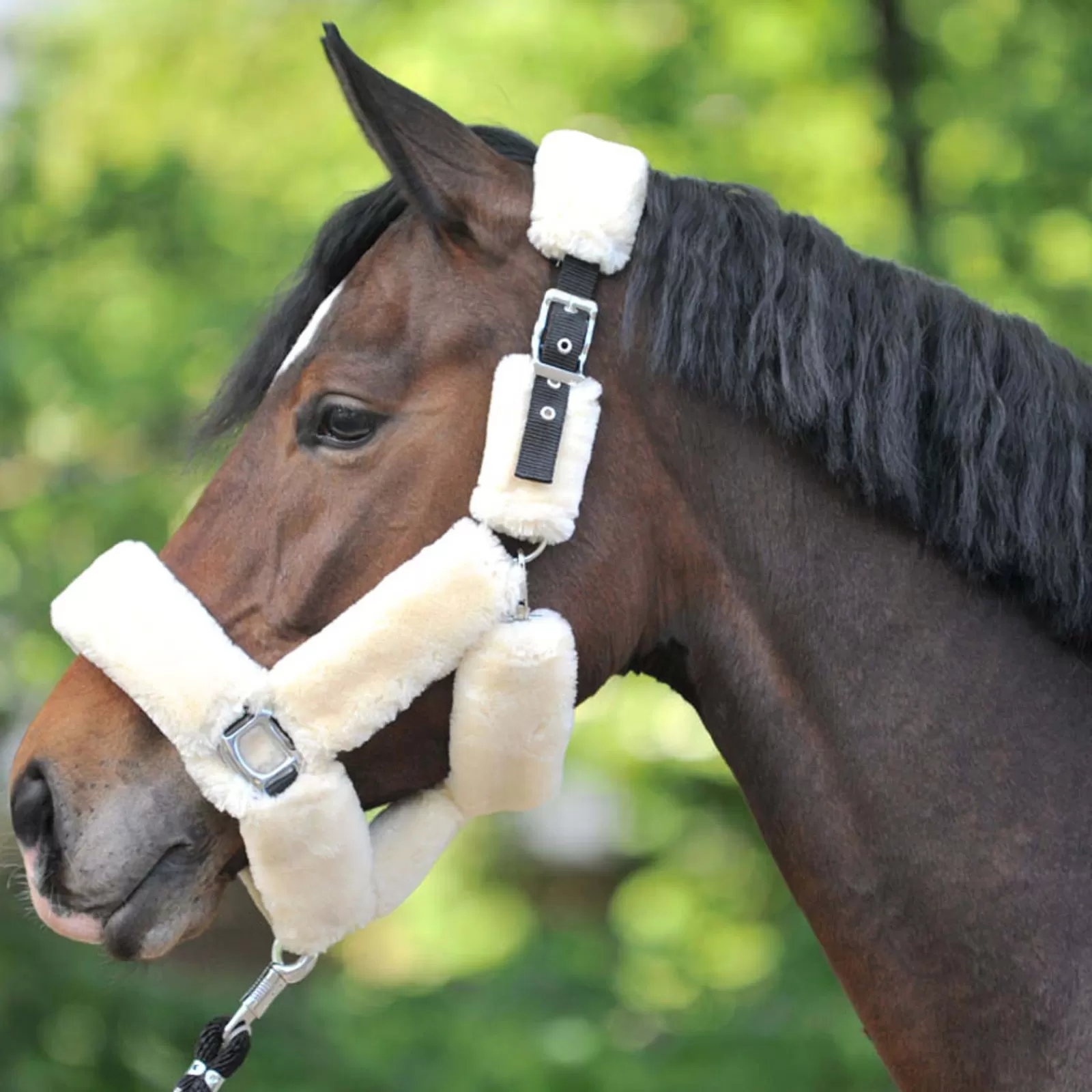 Transport Headcollar Con Finta Pelliccia>kavalkade Hot