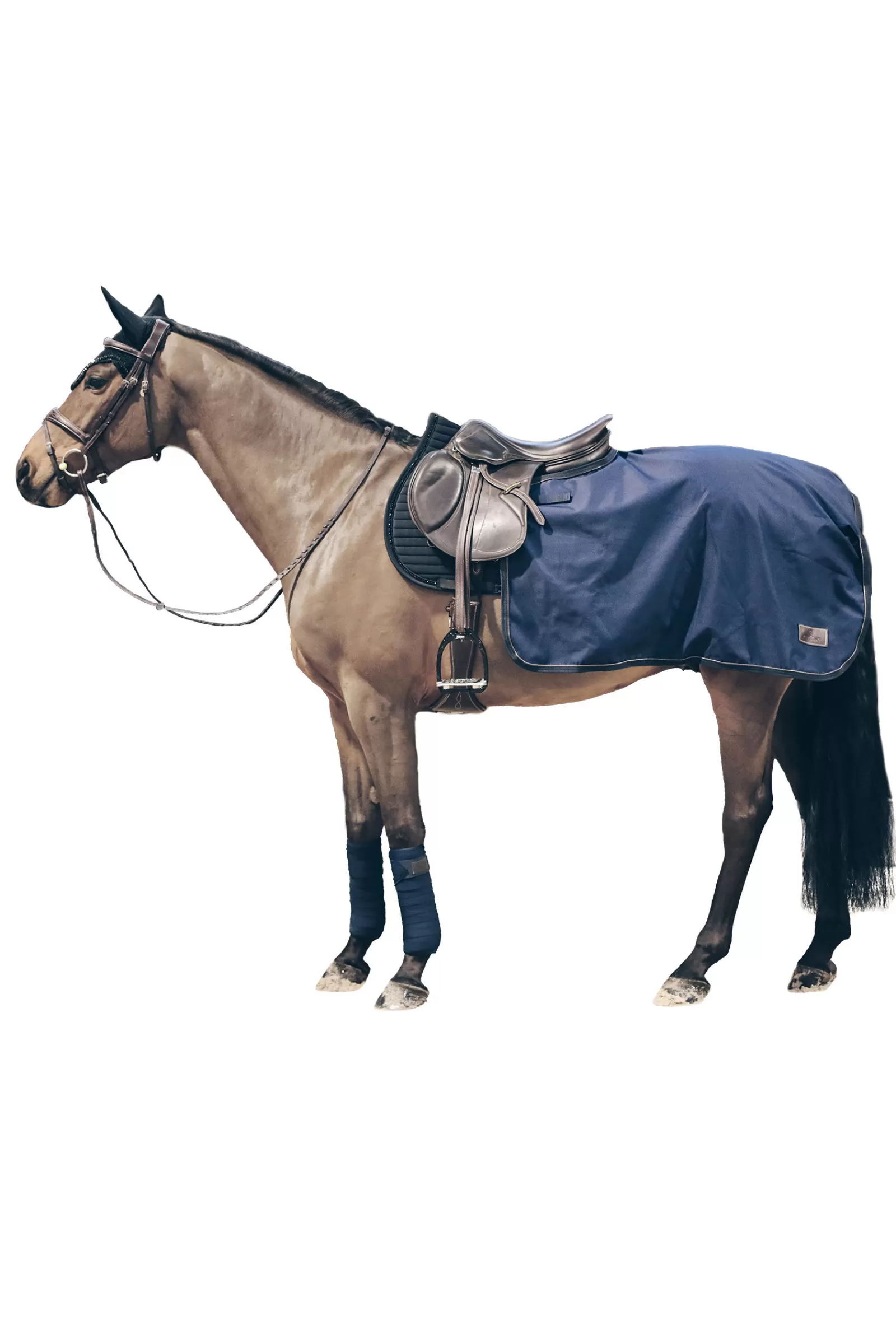 Horsewear - Foglio Per Esercizi Per Tutte Le Stagioni, 160 G>kentucky New
