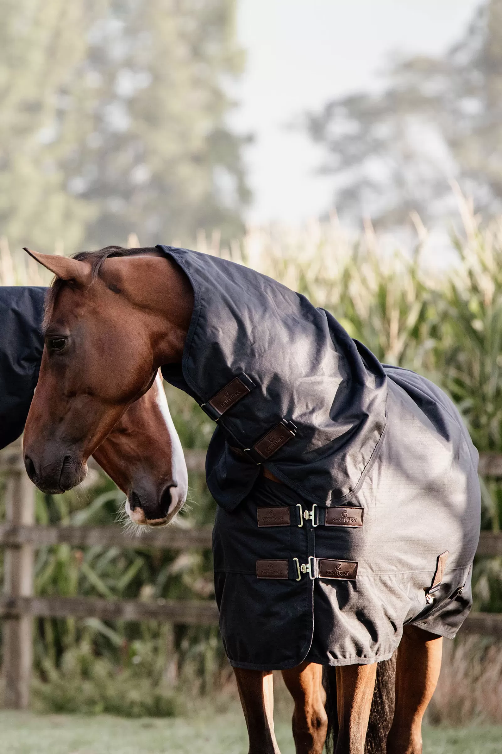 Horsewear - Tappeto Classico Impermeabile Per Tutte Le Condizioni Atmosferiche, 0 G>kentucky Hot
