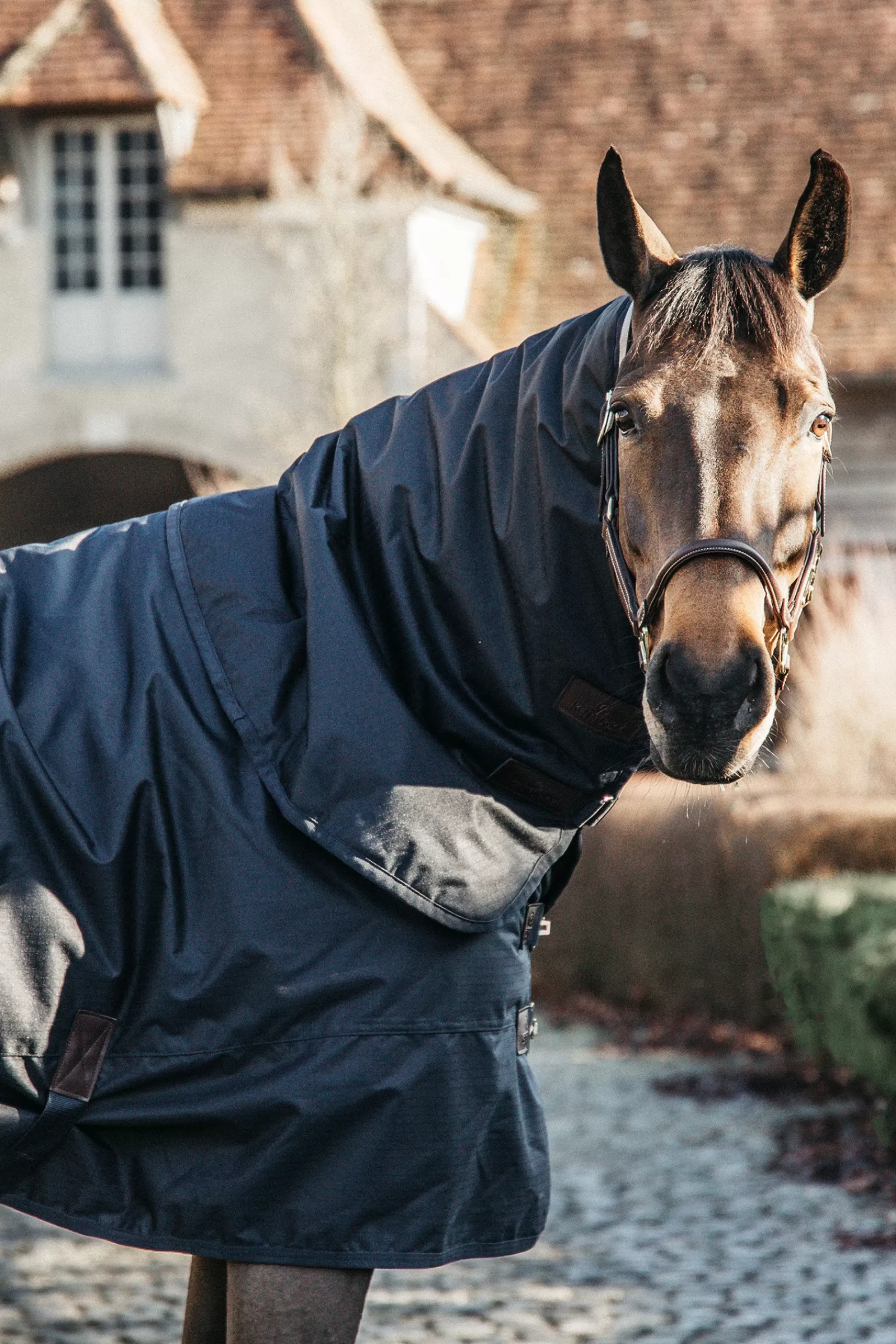 Horsewear - Tappeto Classico Impermeabile Per Tutte Le Condizioni Atmosferiche, 0 G>kentucky Hot