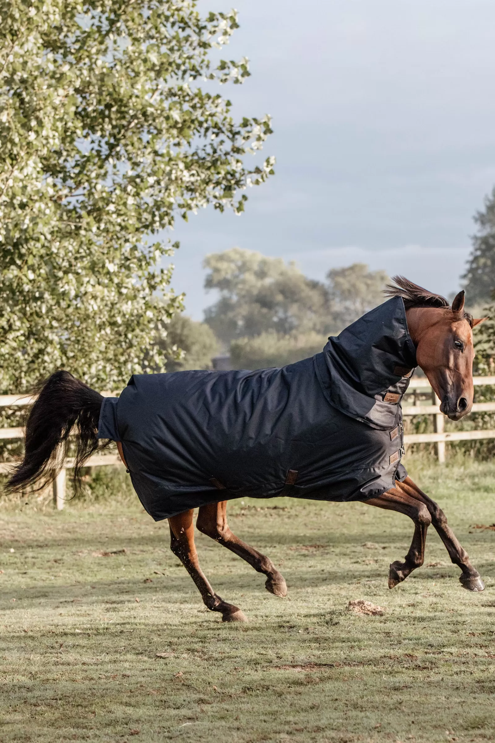 Horsewear - Tappeto Classico Impermeabile Per Tutte Le Condizioni Atmosferiche, 0 G>kentucky Hot