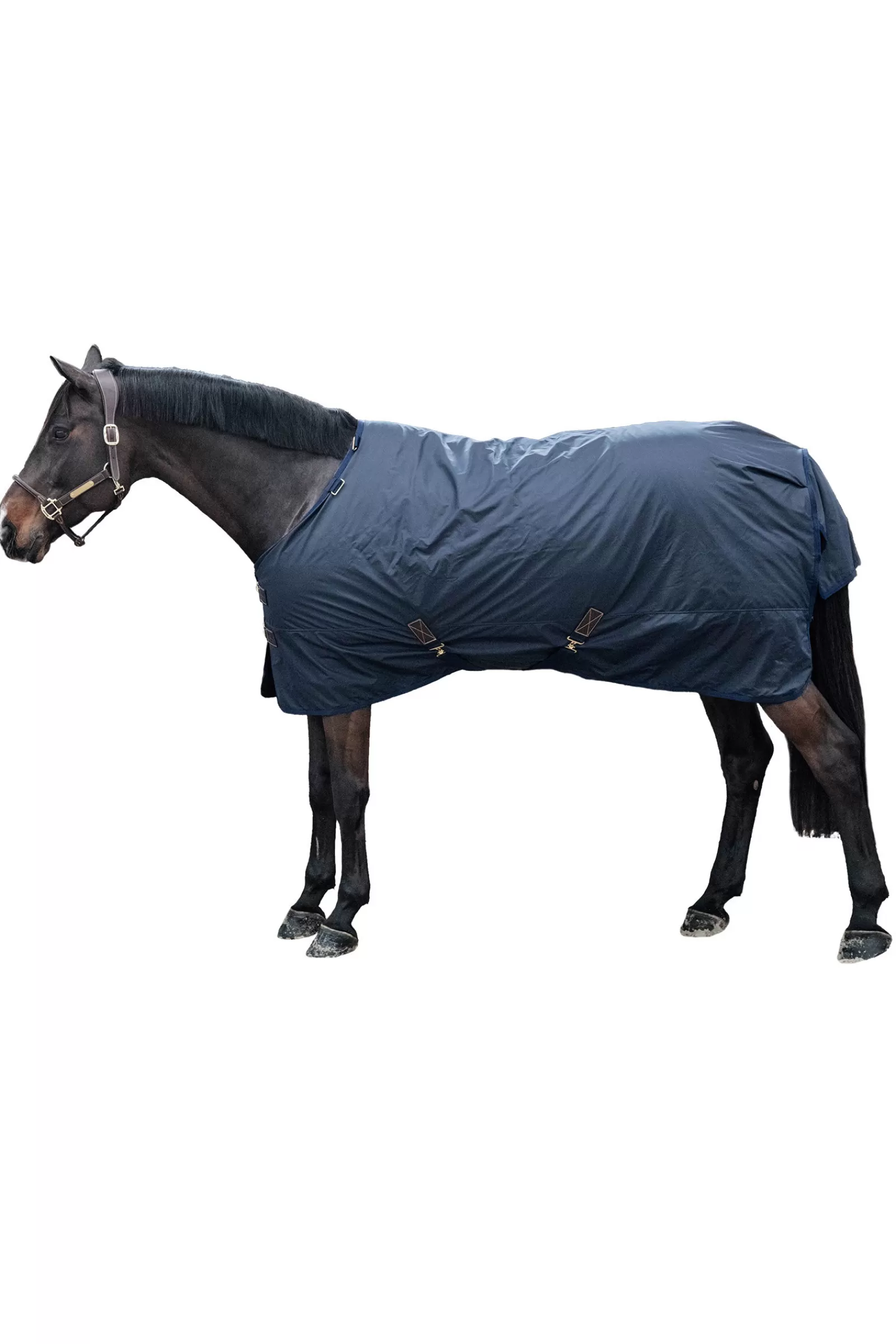 Horsewear All Weather Hurricane Turnout, 0G>kentucky Outlet