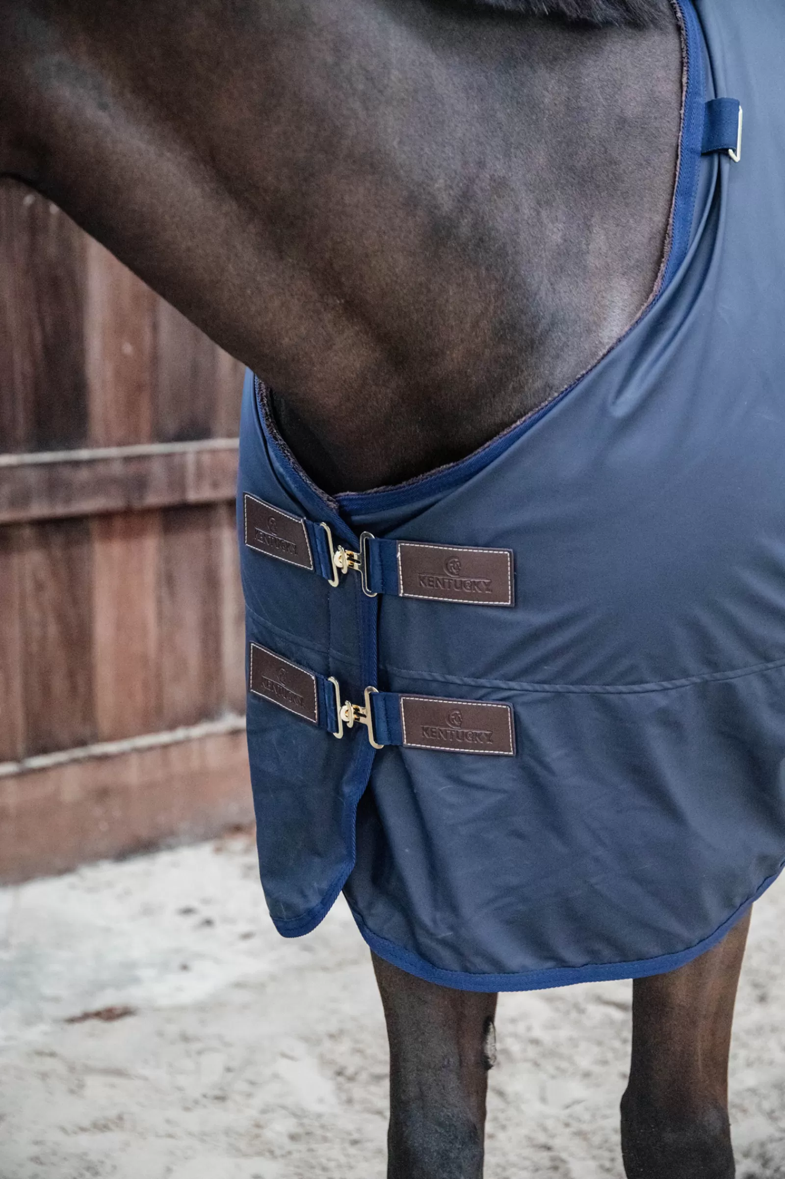 Horsewear All Weather Hurricane Turnout, 150G>kentucky Outlet