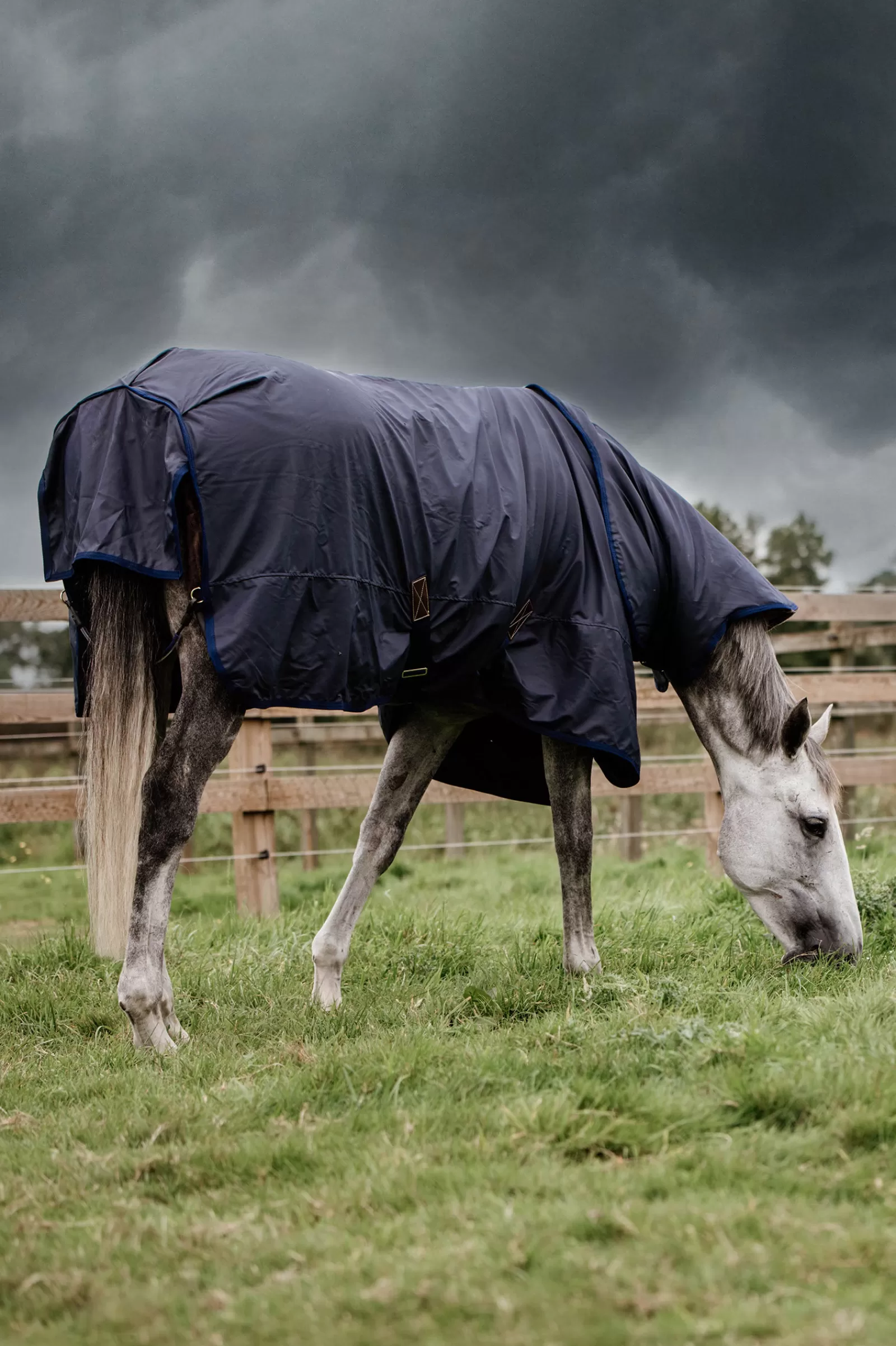 Horsewear All Weather Hurricane Turnout, 50G>kentucky Fashion