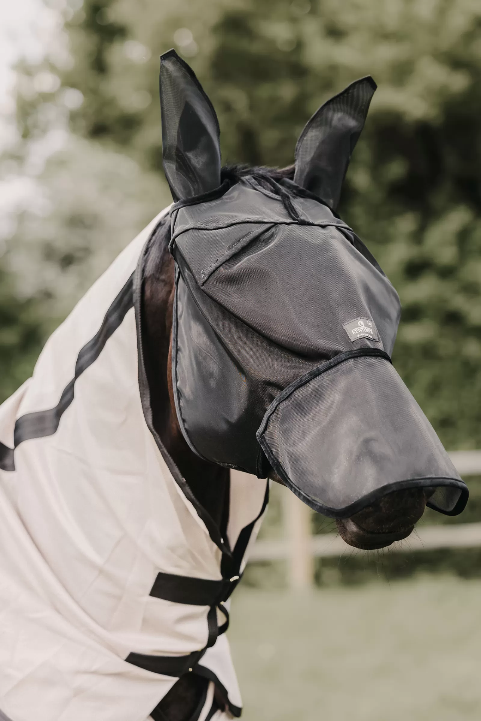Horsewear Classic Cappuccio Antimosche Con Protezione Per Orecchie E Naso>kentucky Shop