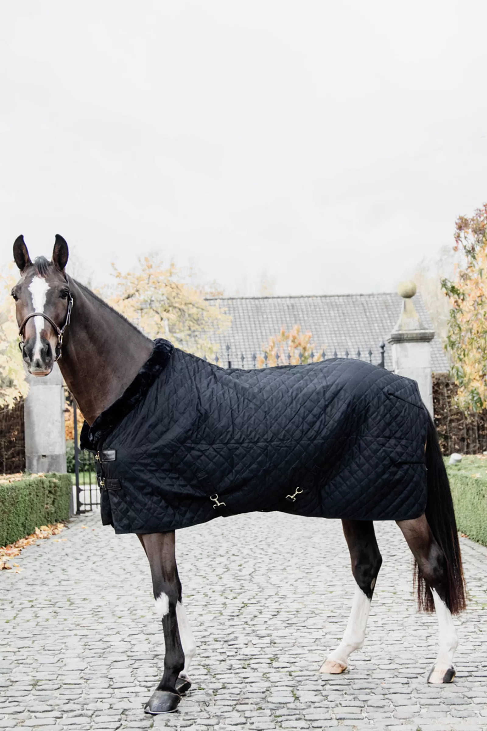 Horsewear Coperta Da Concorso, 160 Gr>kentucky Sale