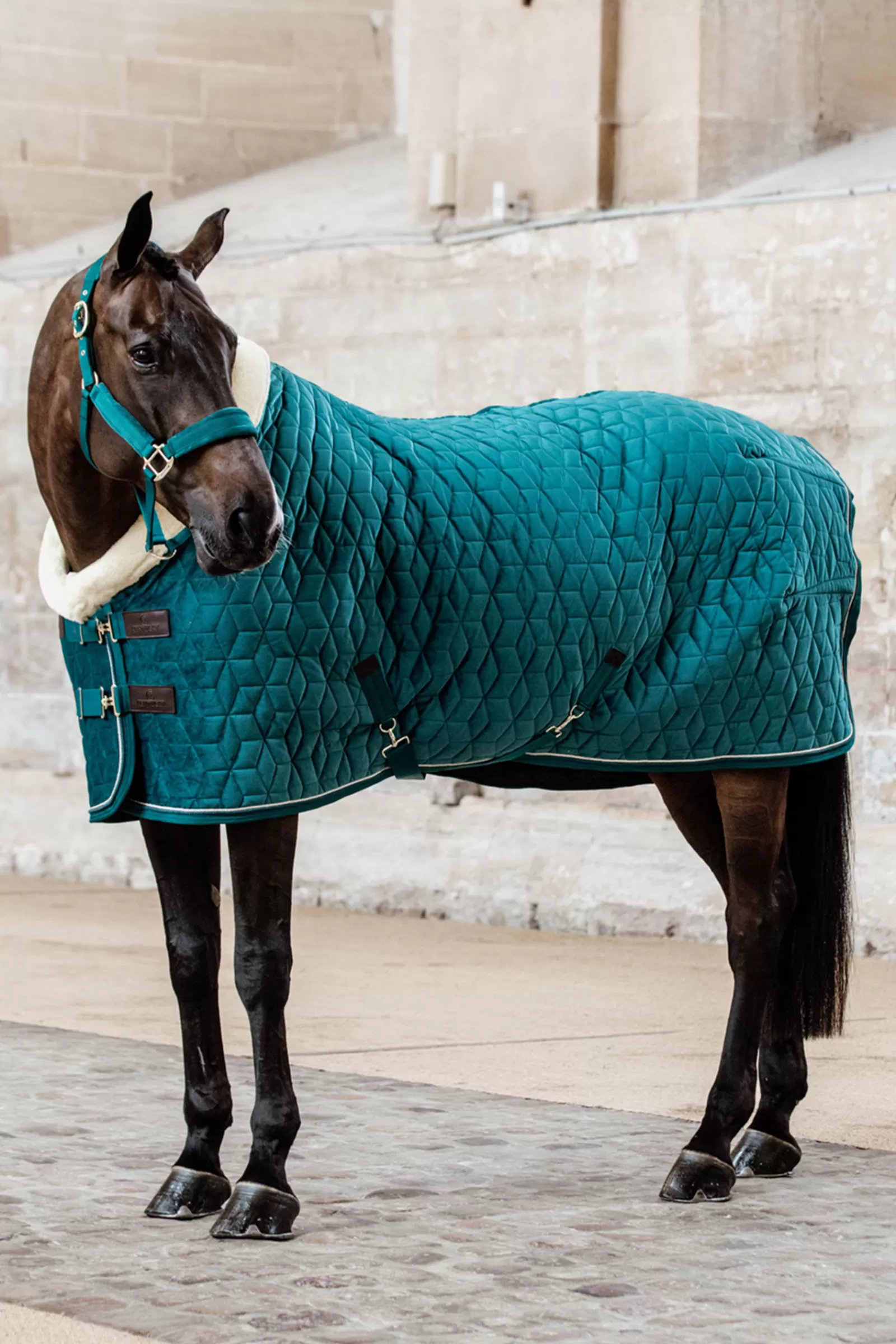 Horsewear Coperta Da Concorso Velvet Per Pony, 160 Gr>kentucky Cheap