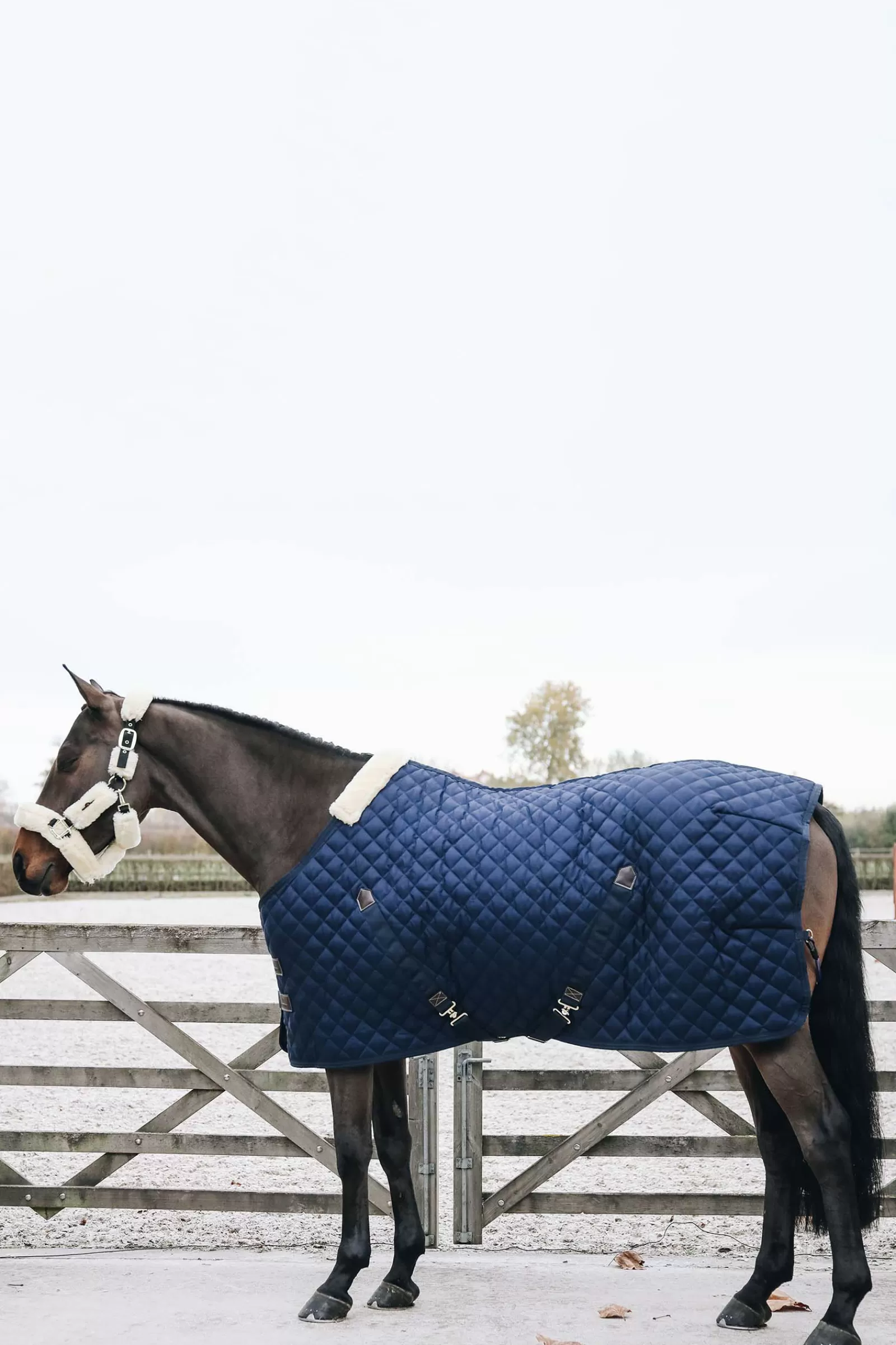 Horsewear, Coperta Da Scuderia 200 Gr>kentucky Flash Sale