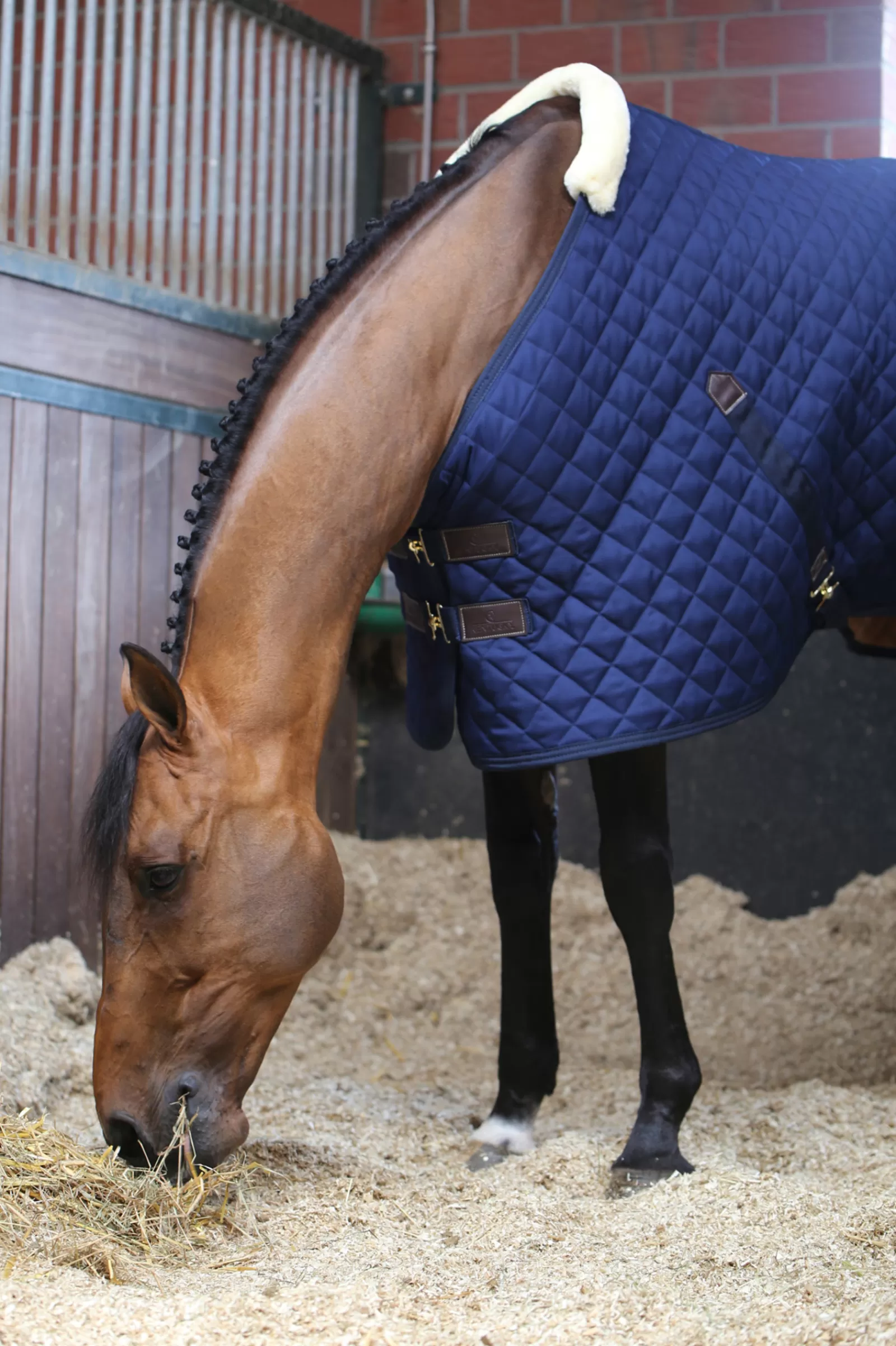 Horsewear, Coperta Da Scuderia 400 Gr>kentucky Discount