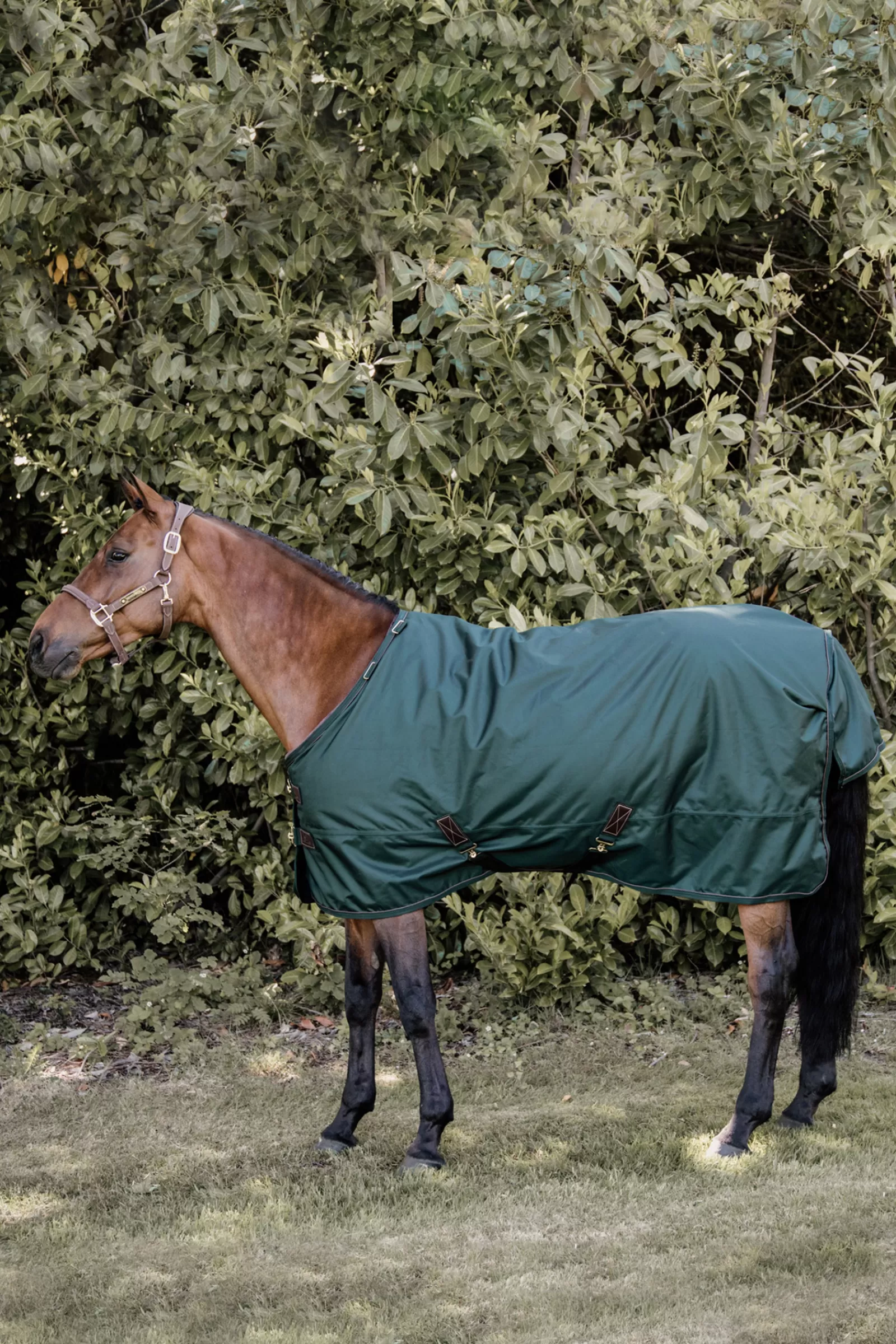 Horsewear Coperta Da Turnout All Weather, 160 Gr>kentucky Clearance