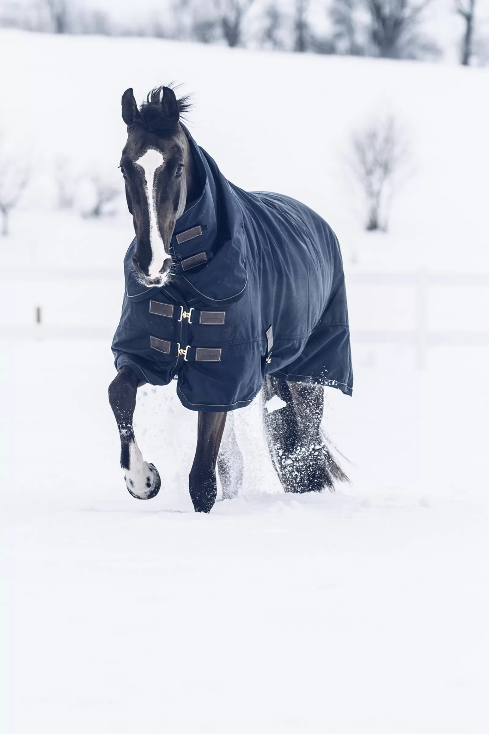Horsewear Coperta Da Turnout All Weather Waterproof Classic, 300 Gr>kentucky New
