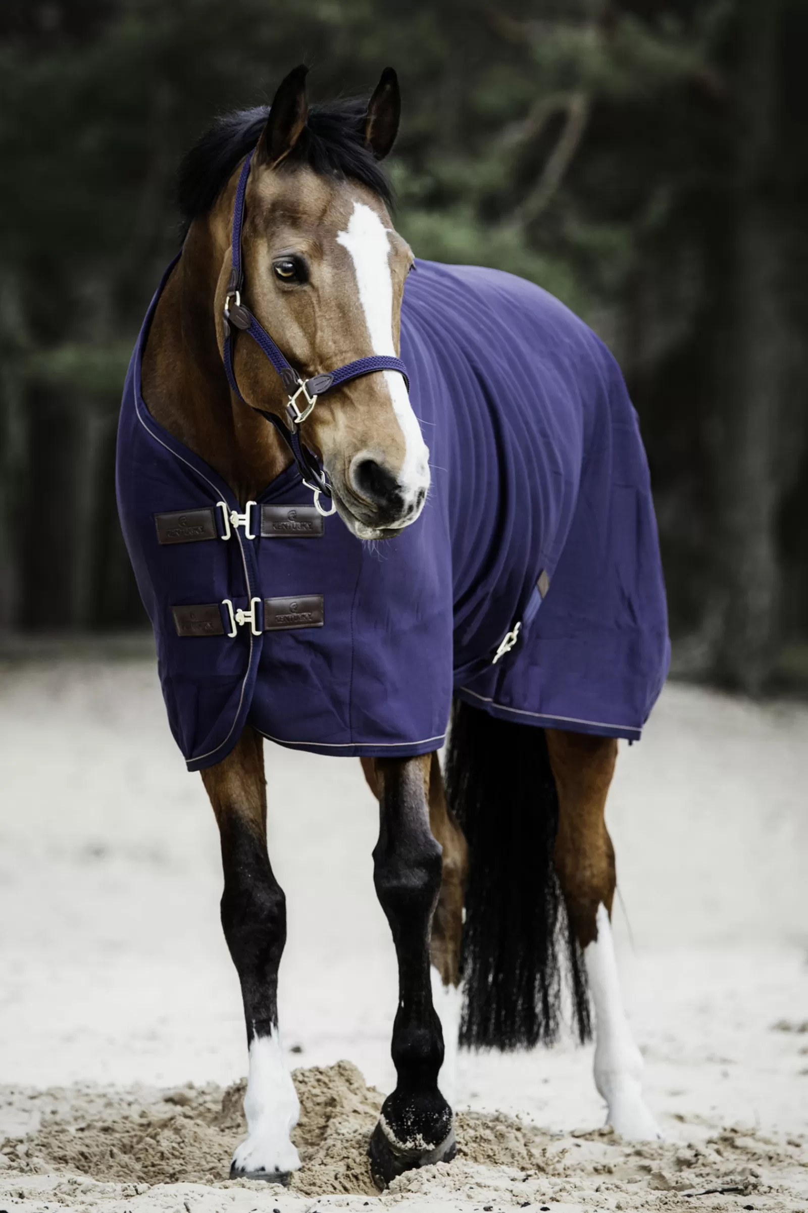 Horsewear Coperta Dopolavoro In Pile>kentucky Discount