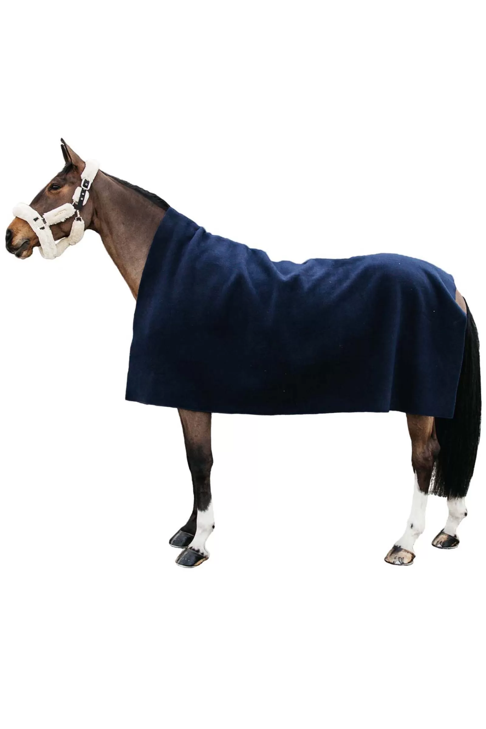 Horsewear Coperta In Pile Pesante>kentucky Store