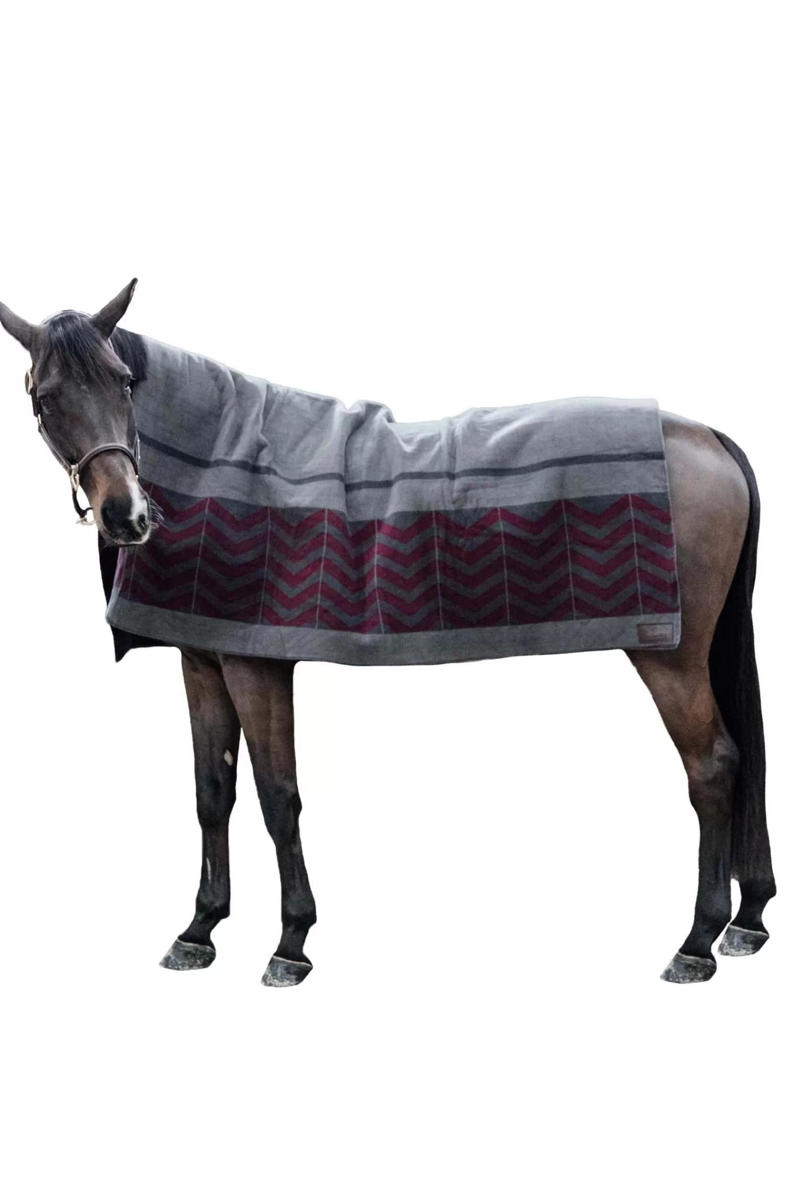 Horsewear Coperta In Pile Pesante>kentucky Cheap