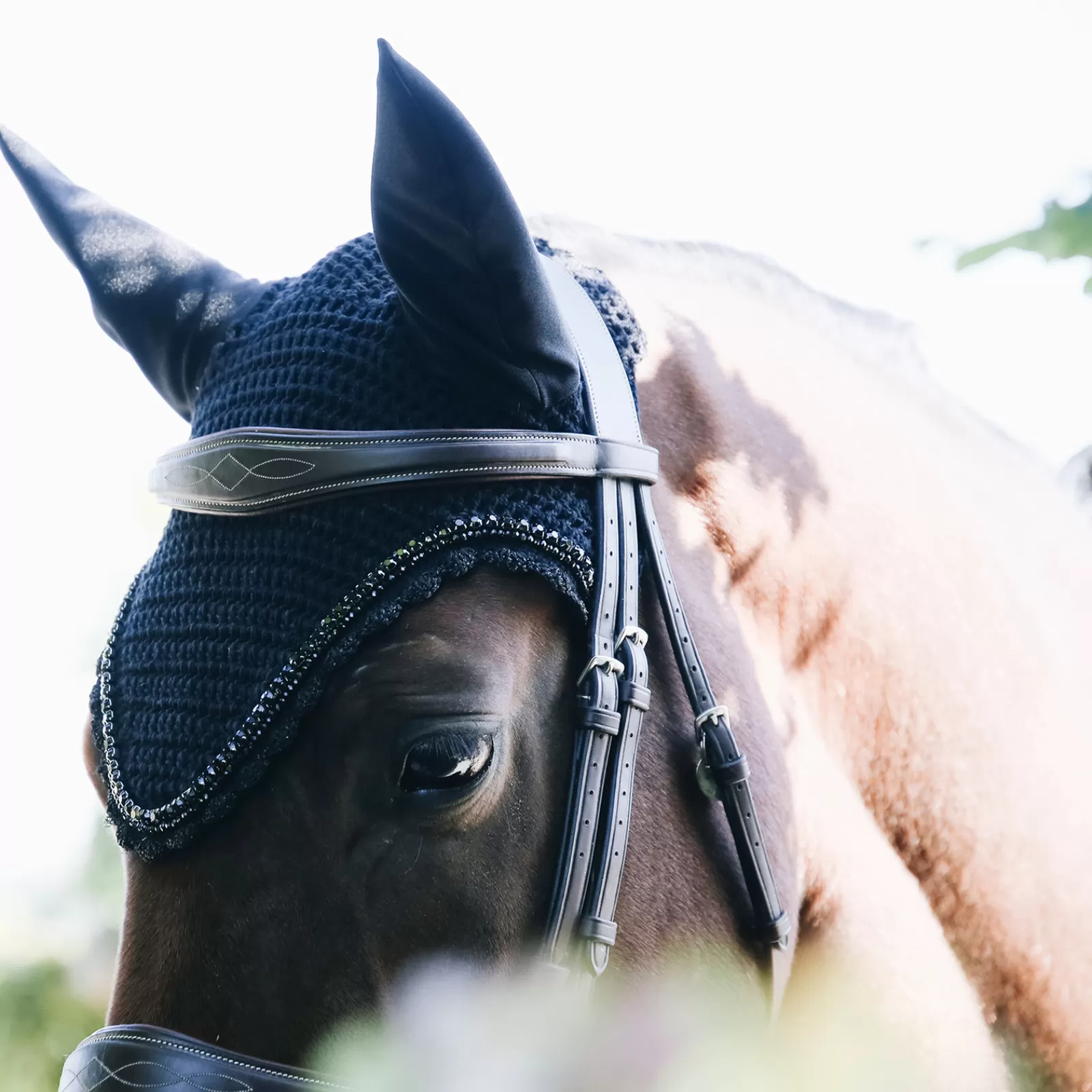 Horsewear Fly Veil Long Stone & Pearl>kentucky Cheap