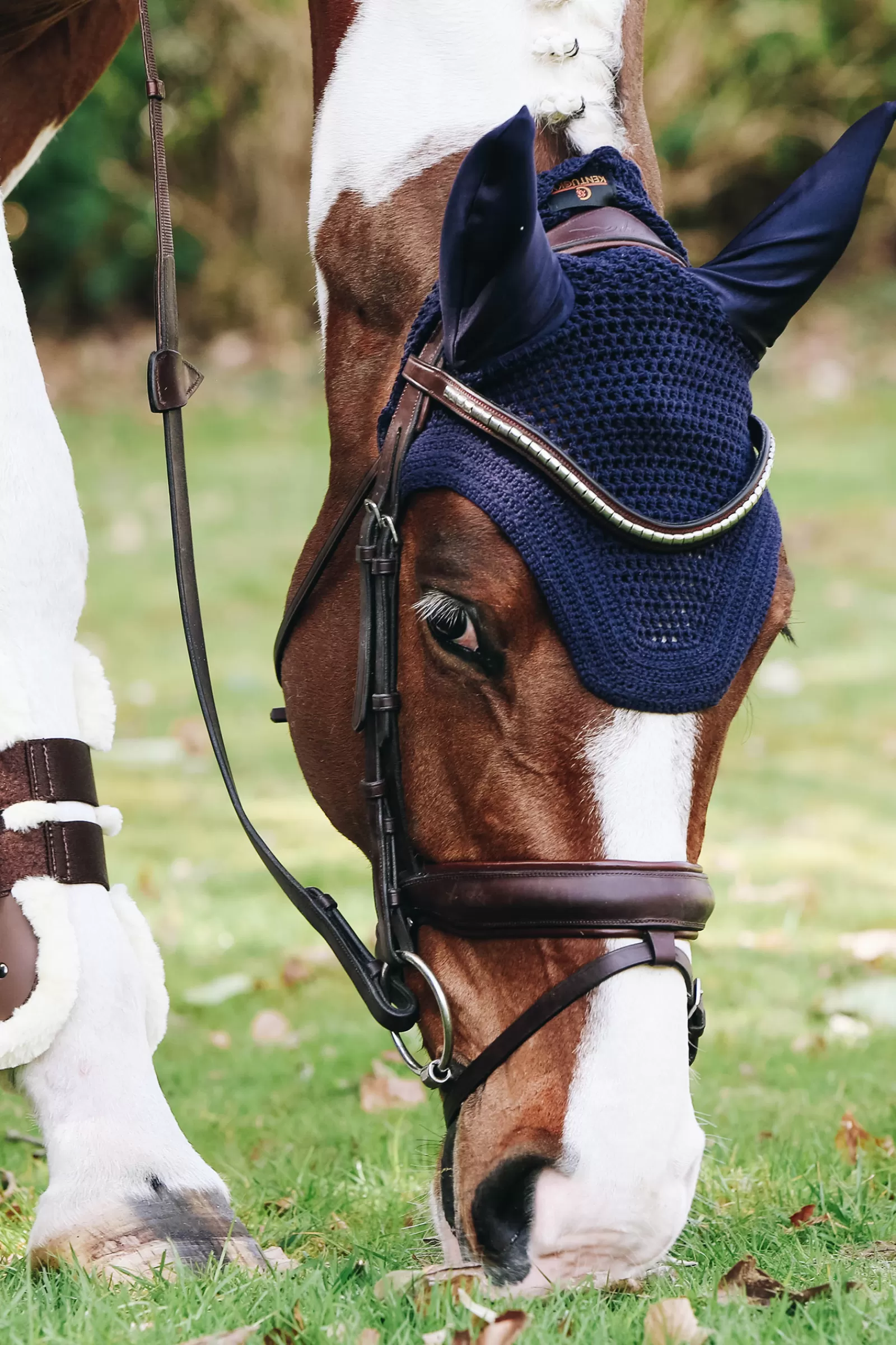 Horsewear Fly Veil Wellington>kentucky Discount