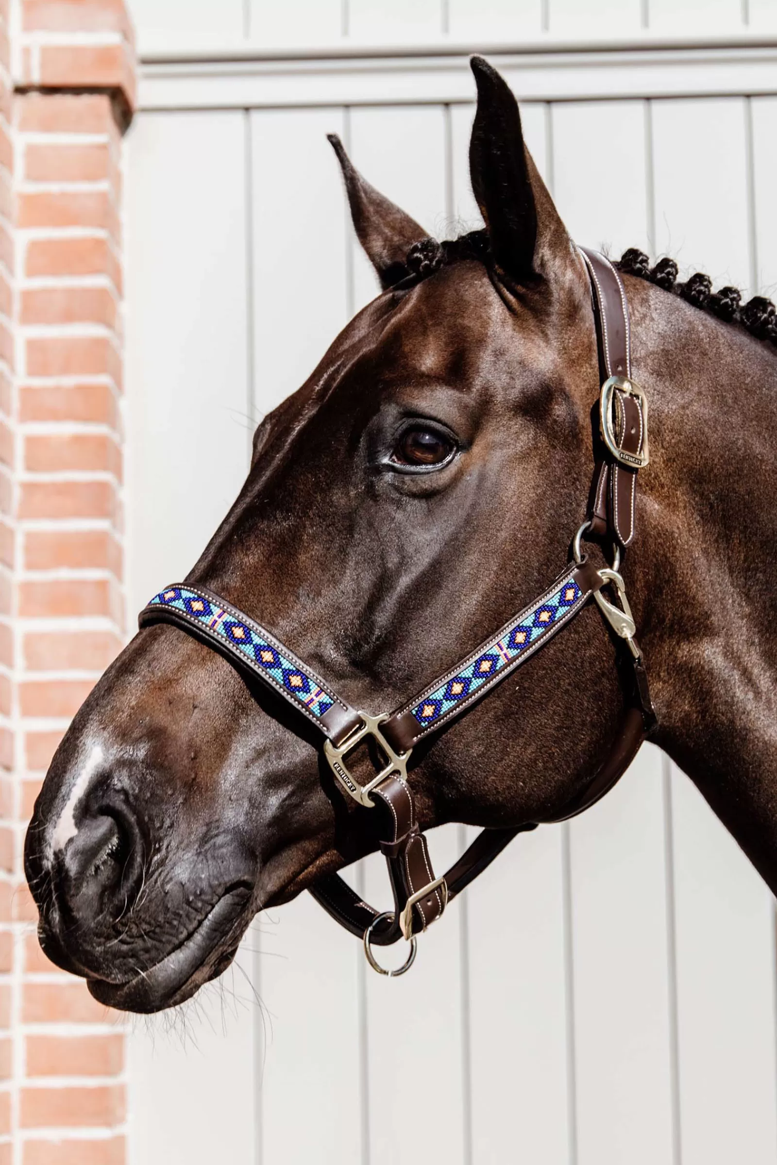 Horsewear Pearls Cavezza>kentucky Shop