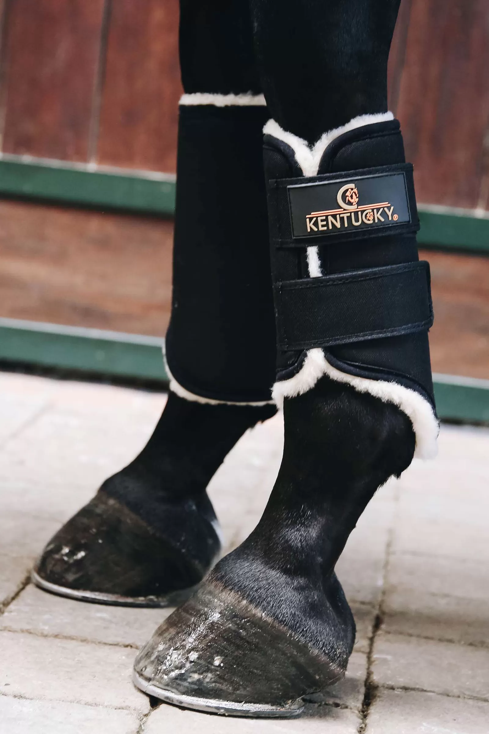 kentucky Stinchiere E Protezioni | Horsewear Solimbra Affluenza Alle Urne Stivali, Hind Black