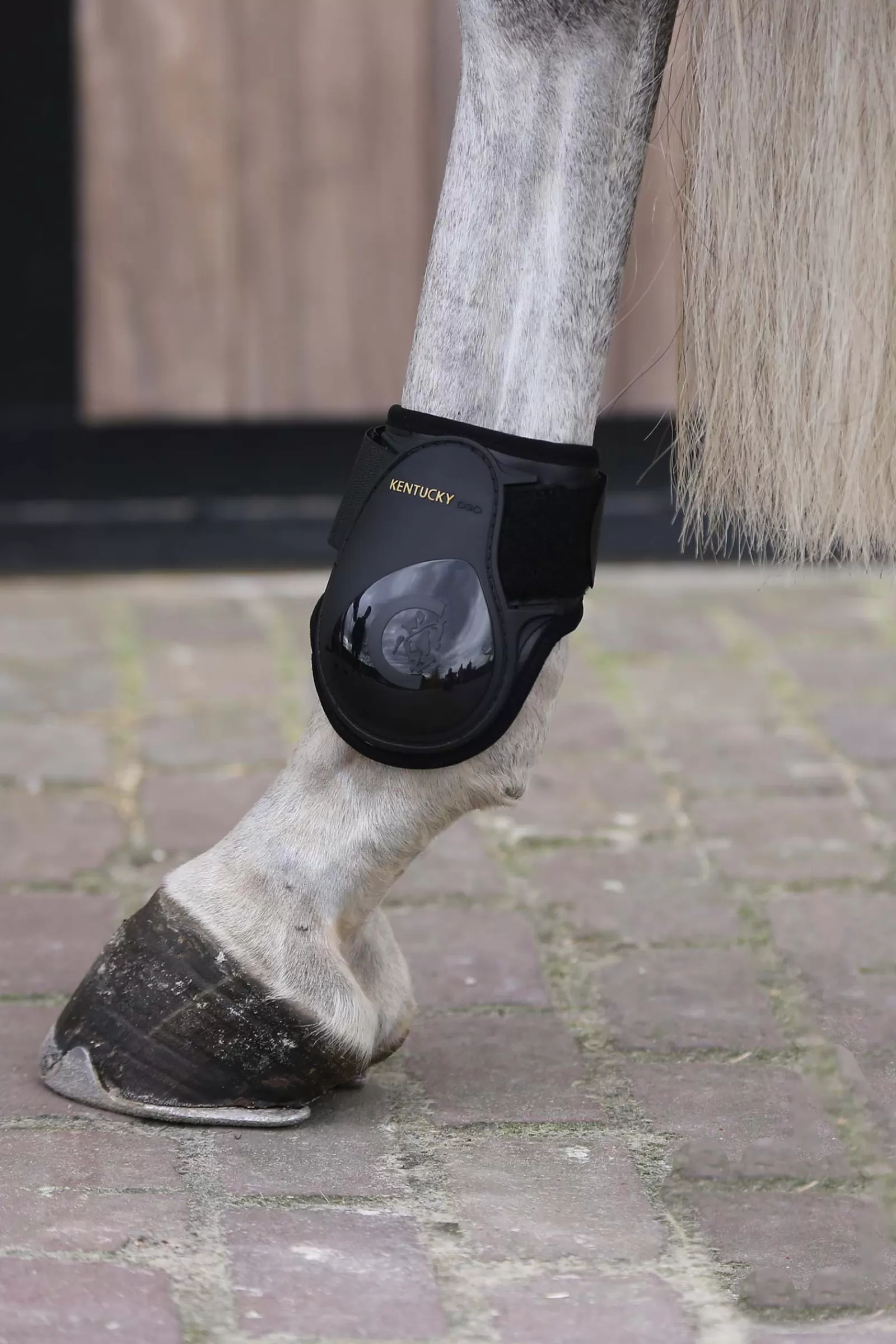 kentucky Paranocche | Horsewear Stivali Paratendini Per Cavalli Giovani Black