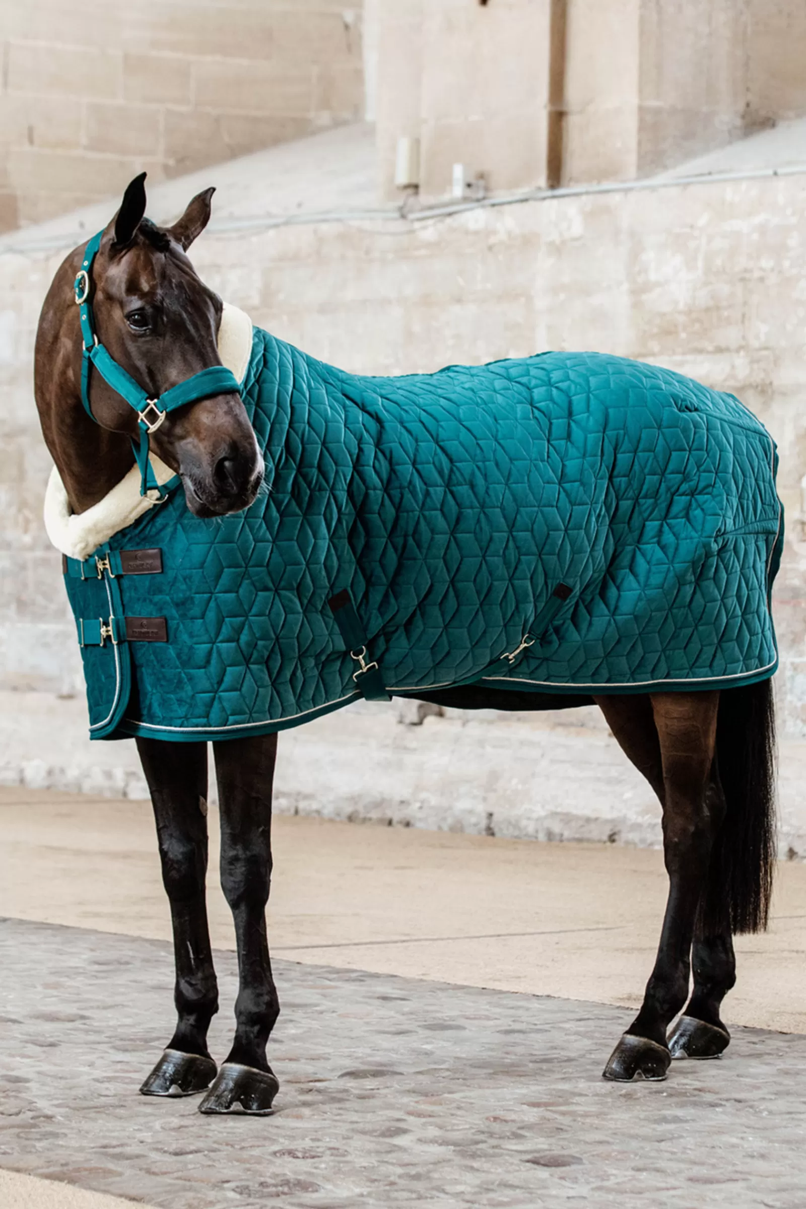 Horsewear Velvet Coperta Da Concorso Per Pony, 160 Gr>kentucky Discount