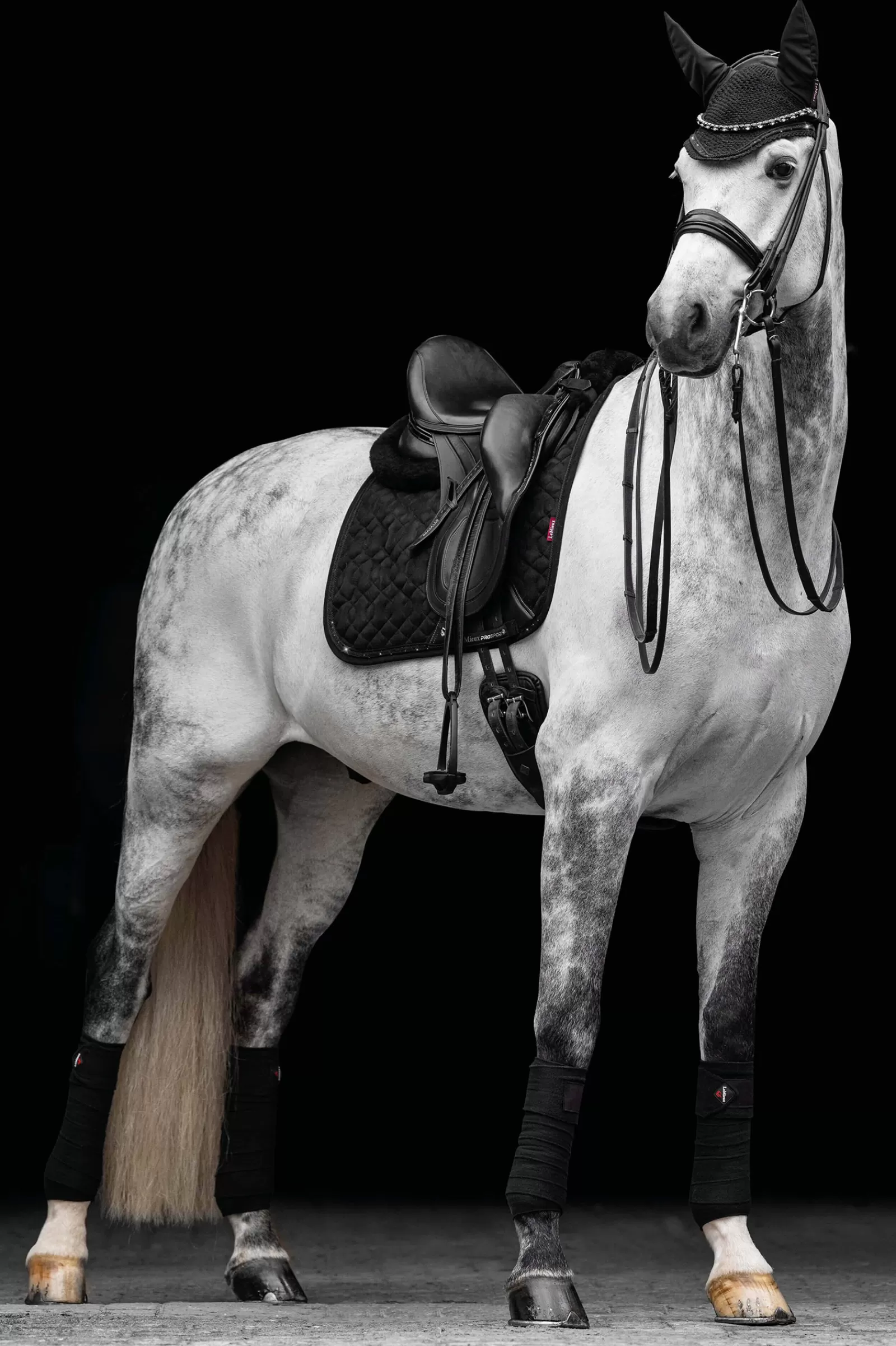 lemieux Dressursjabraker | Crystal Suede Sottosella Da Dressage Black